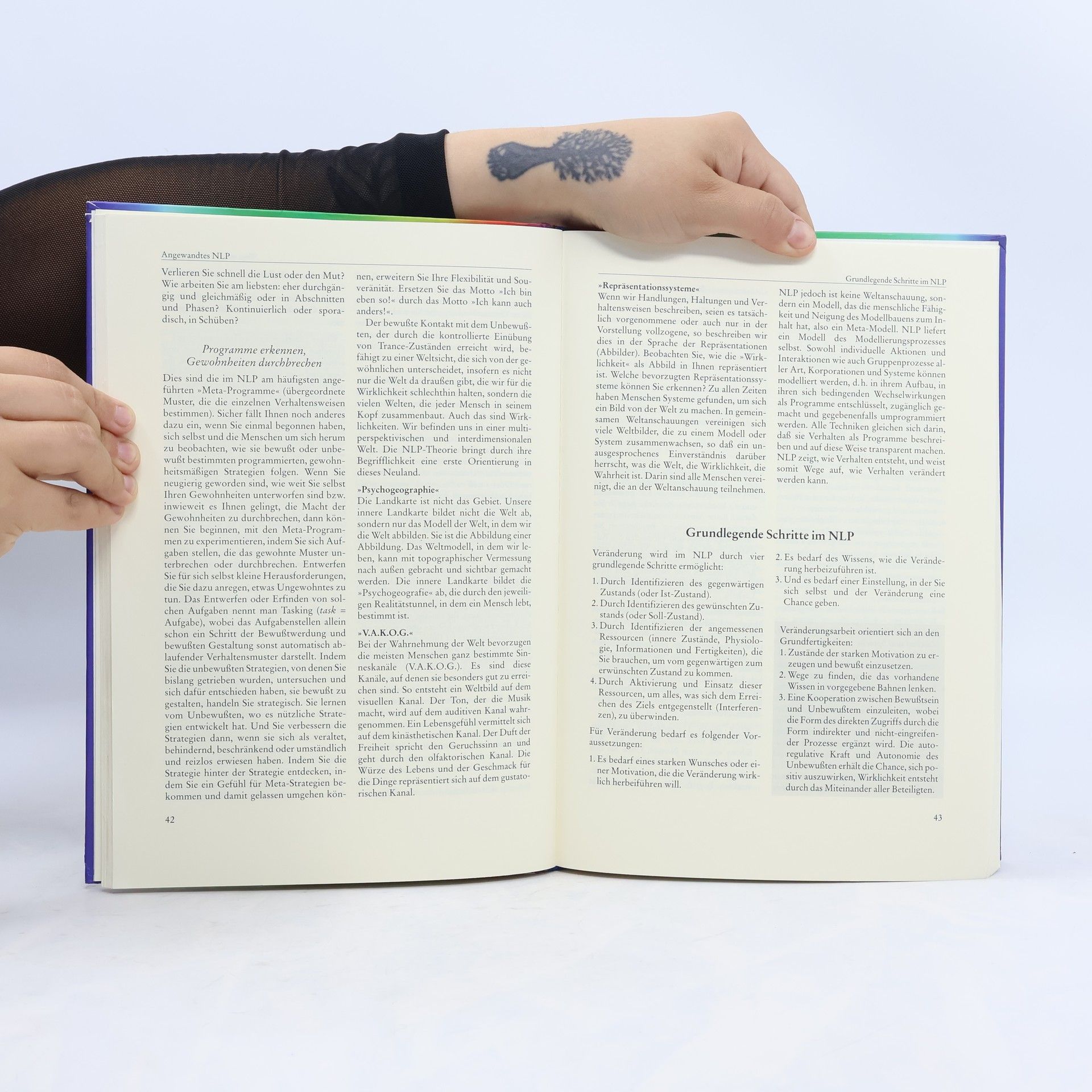 Kay Hoffman Das Arbeitsbuch zum NLP