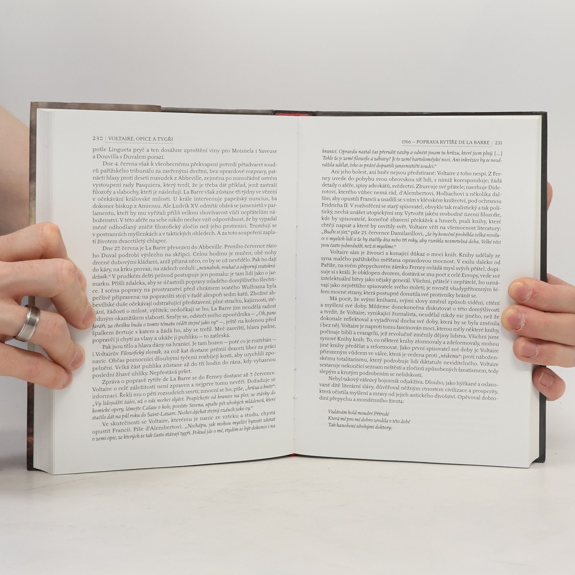 Pierre Lepape Země literatury : od Štrasburských přísah do Sartrova pohřbu