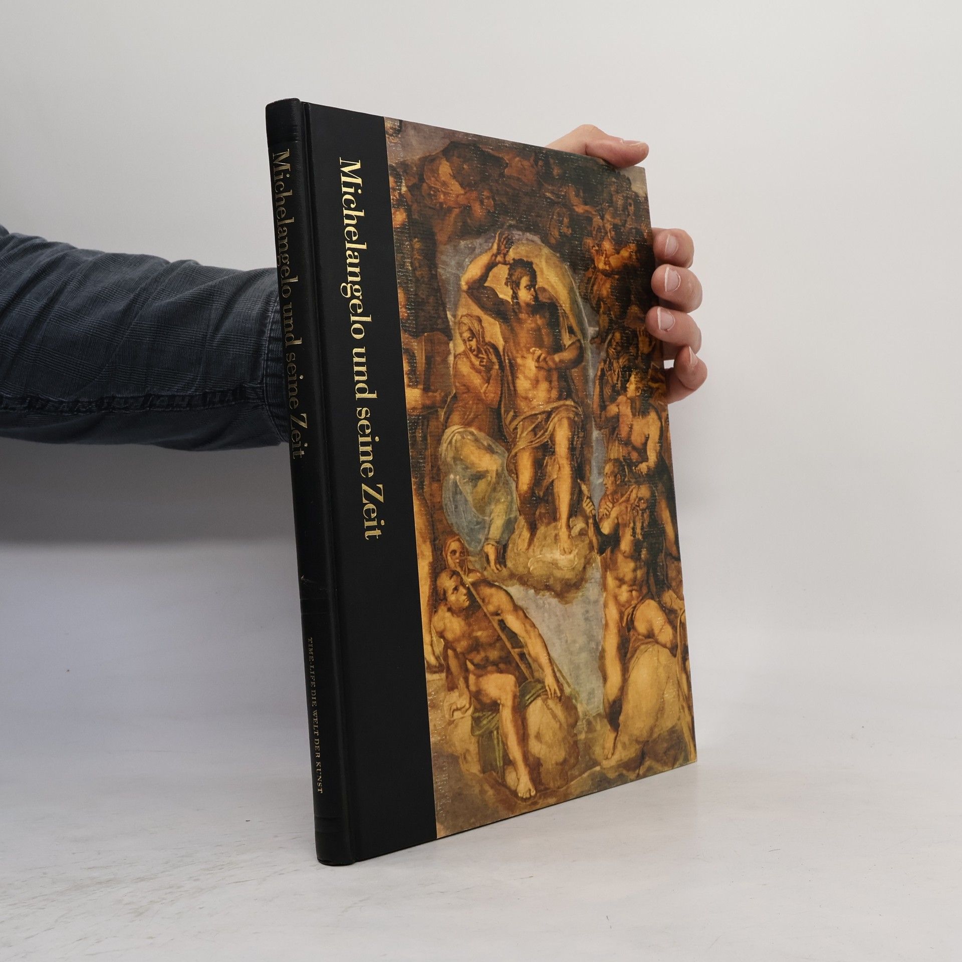 Autorenkollektiv Michelangelo und seine Zeit