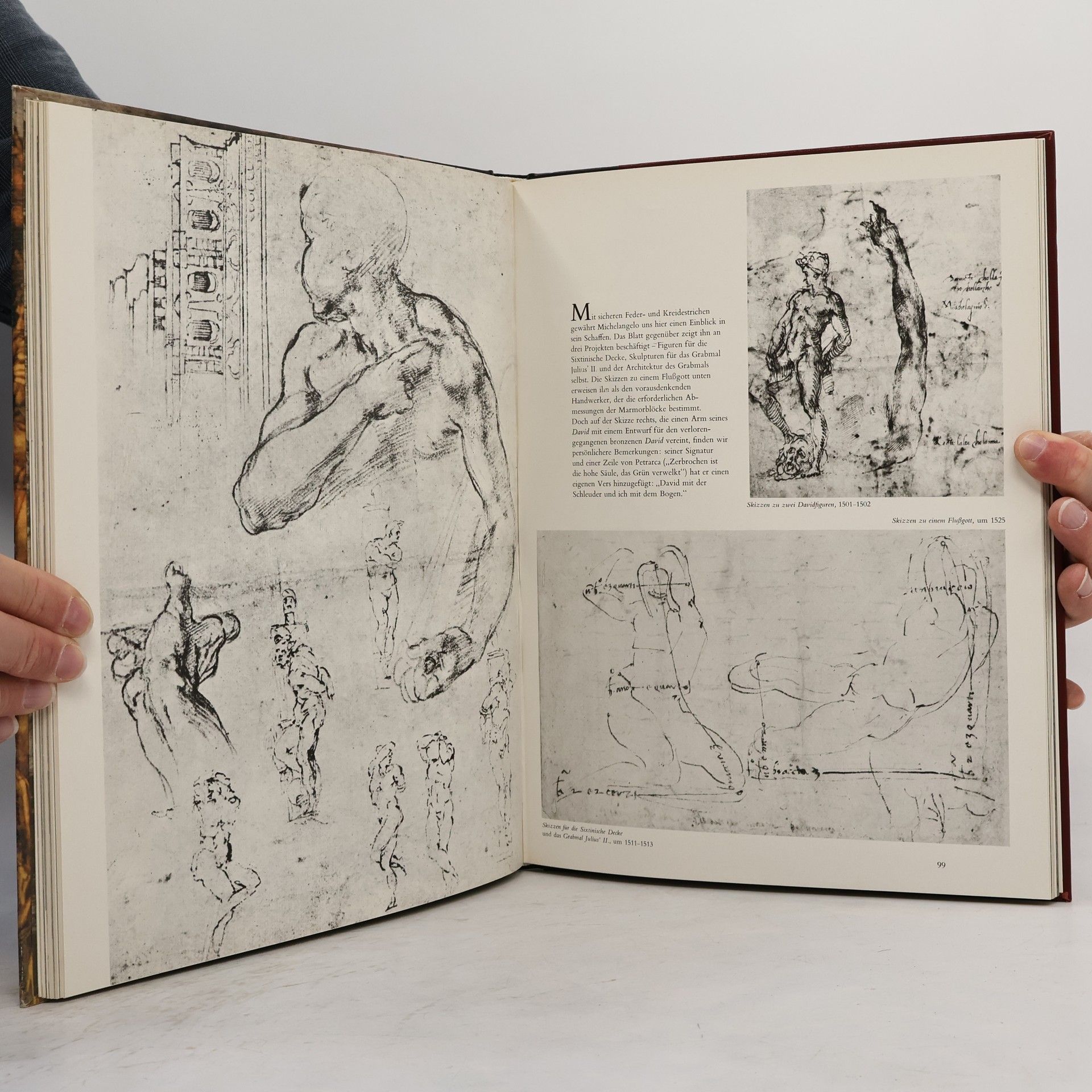 Autorenkollektiv Michelangelo und seine Zeit