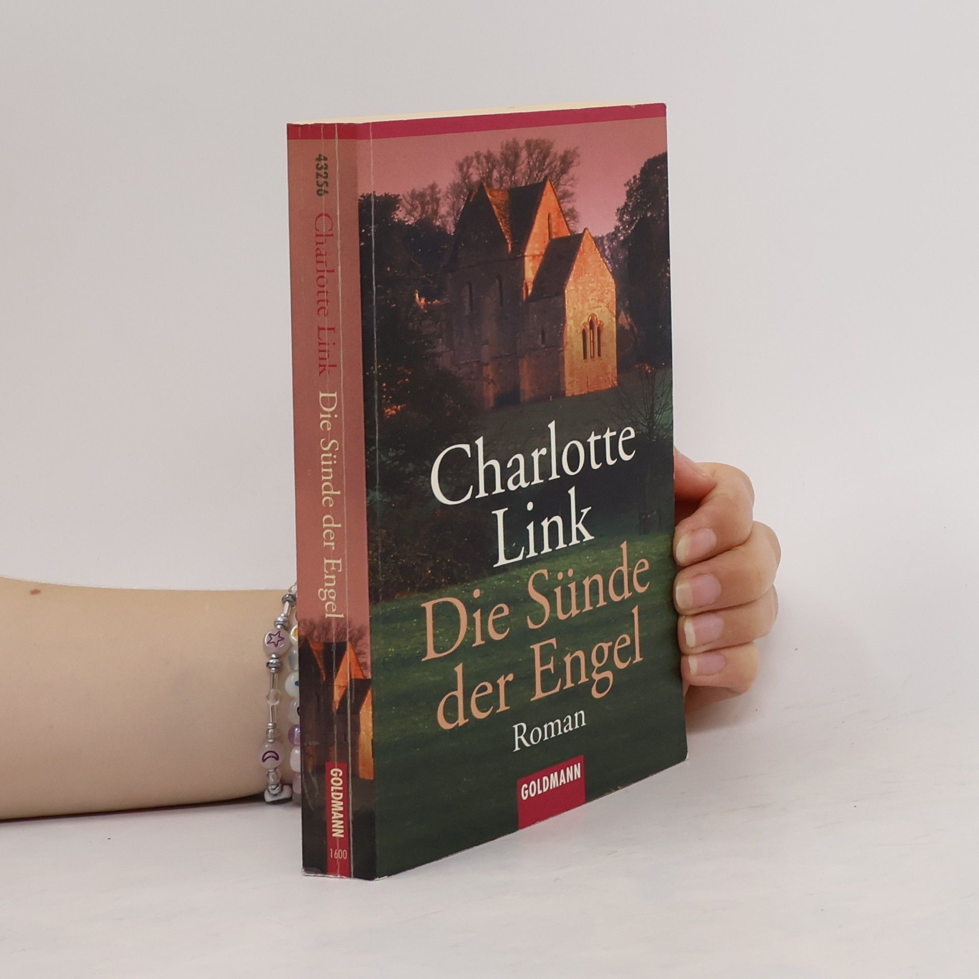Charlotte Link Die Sünde der Engel