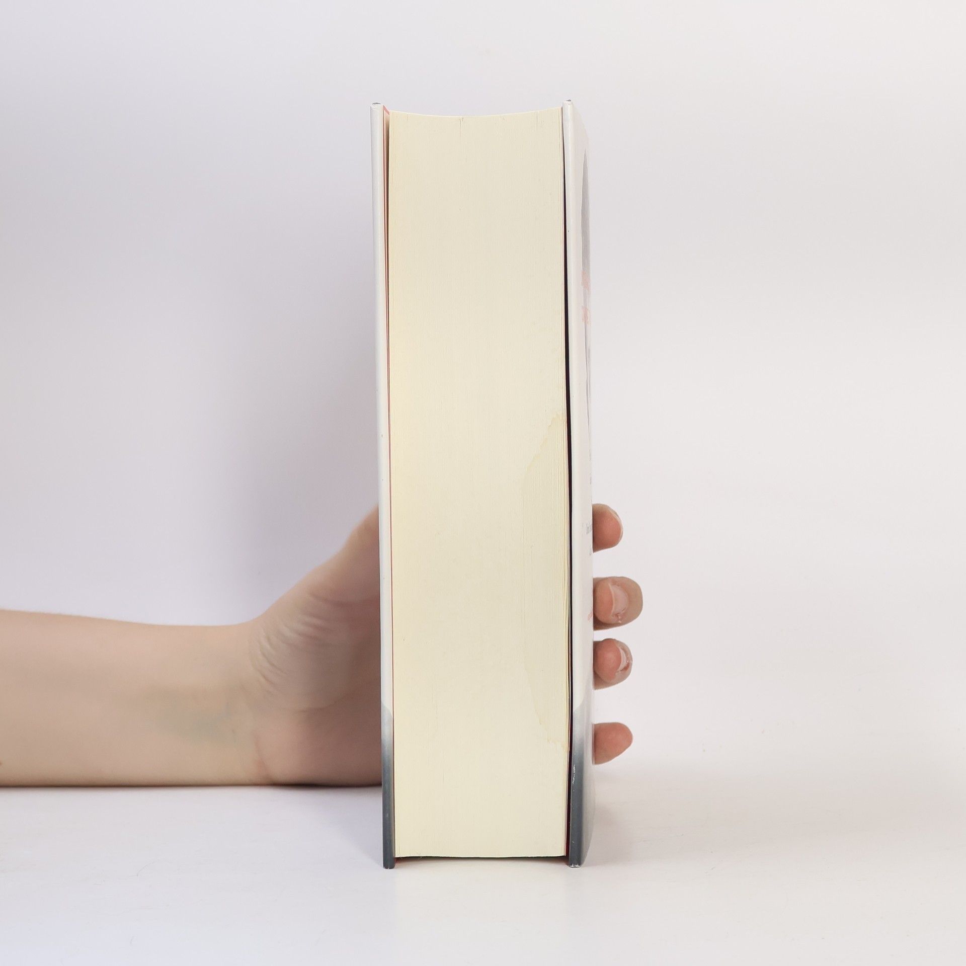Stephen Chbosky Der unsichtbare Freund