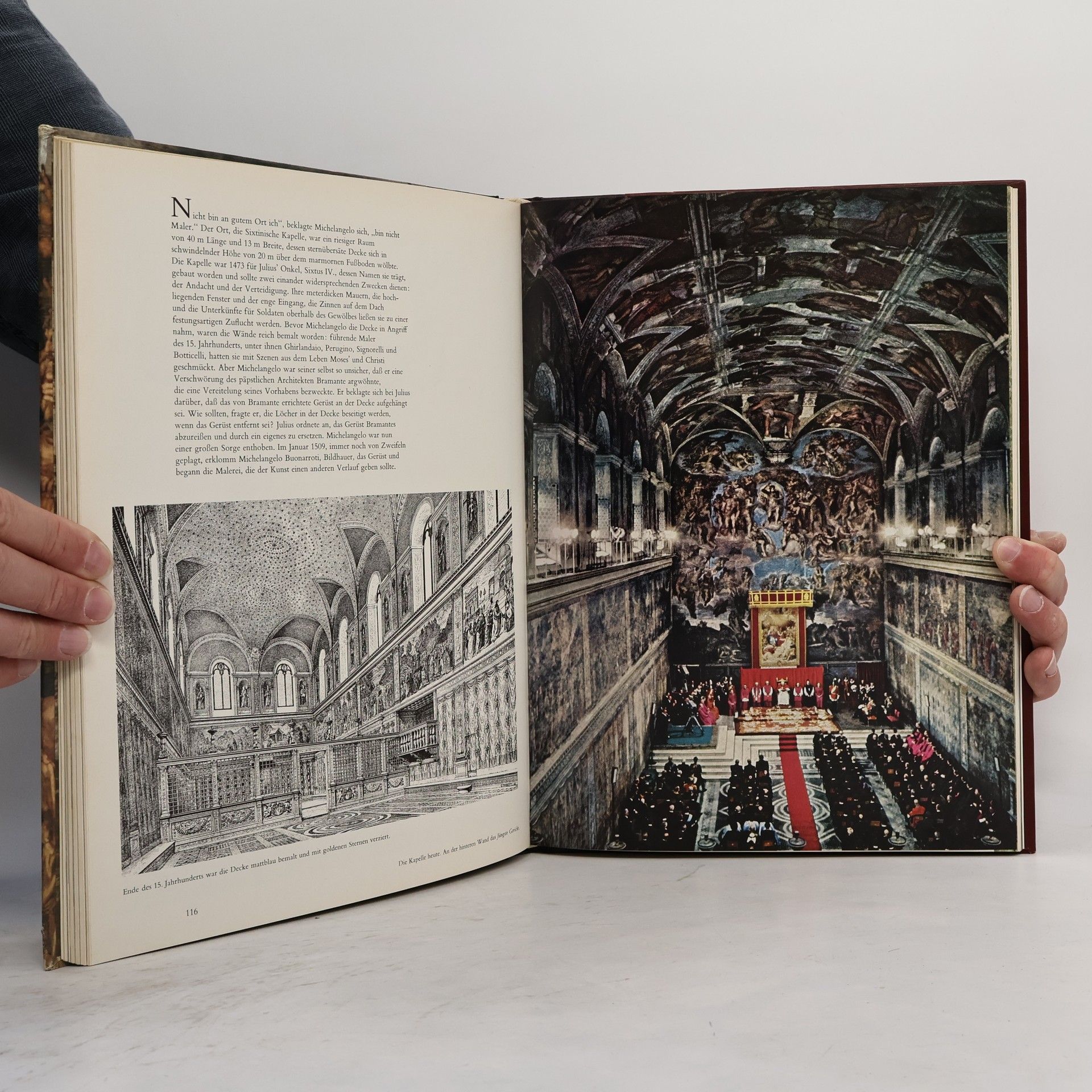 Autores varios Michelangelo und seine Zeit