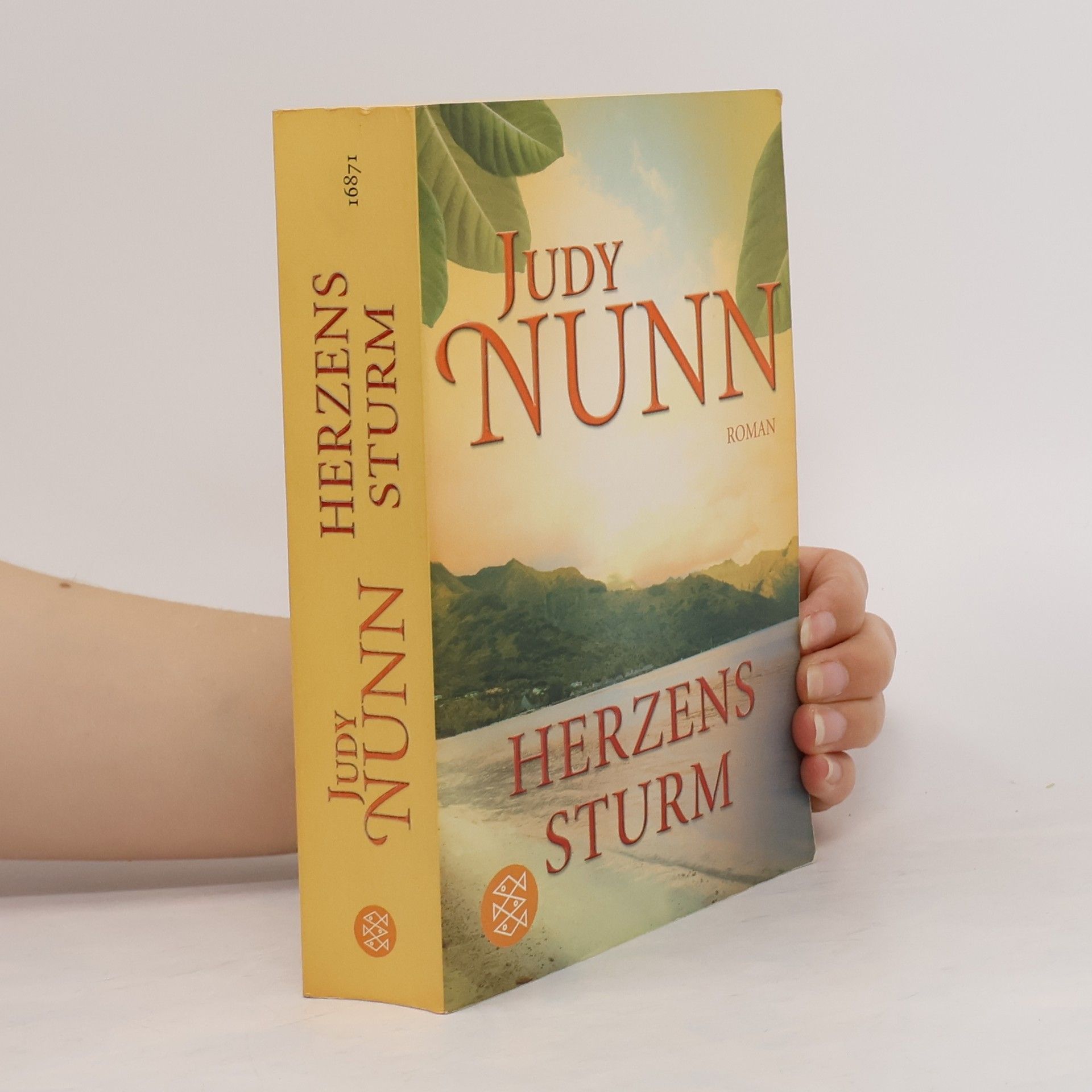 Judy Nunn Herzenssturm