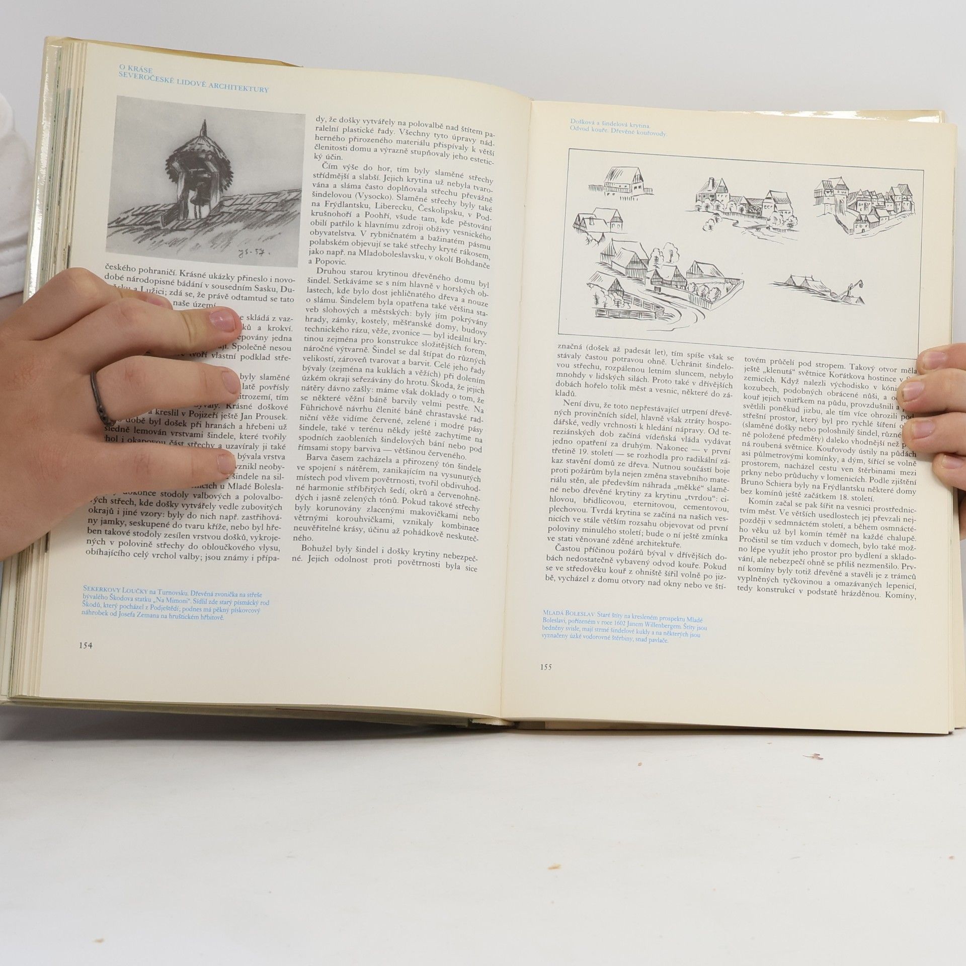 Josef V. Scheybal Umění lidových tesařů, kameníků a sochařů v severních Čechách