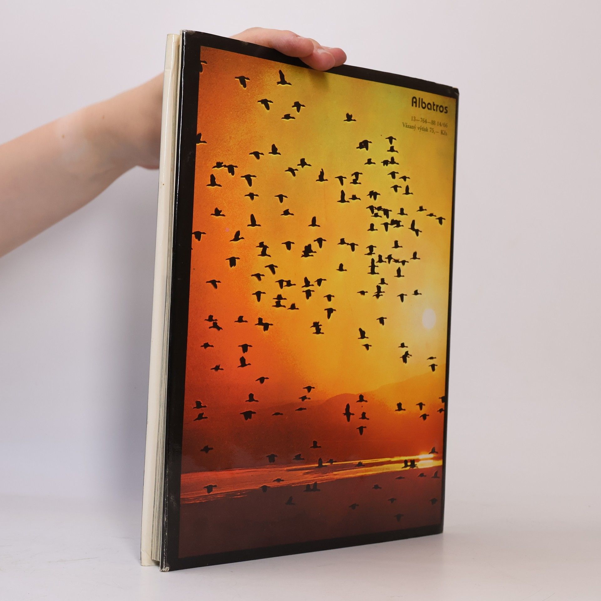 John Cloudsley Thompson Migrace zvířat