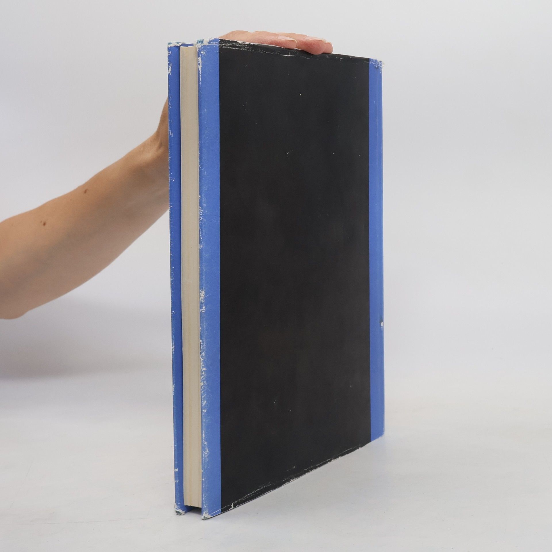 Collectif d'auteurs Biblický slovník
