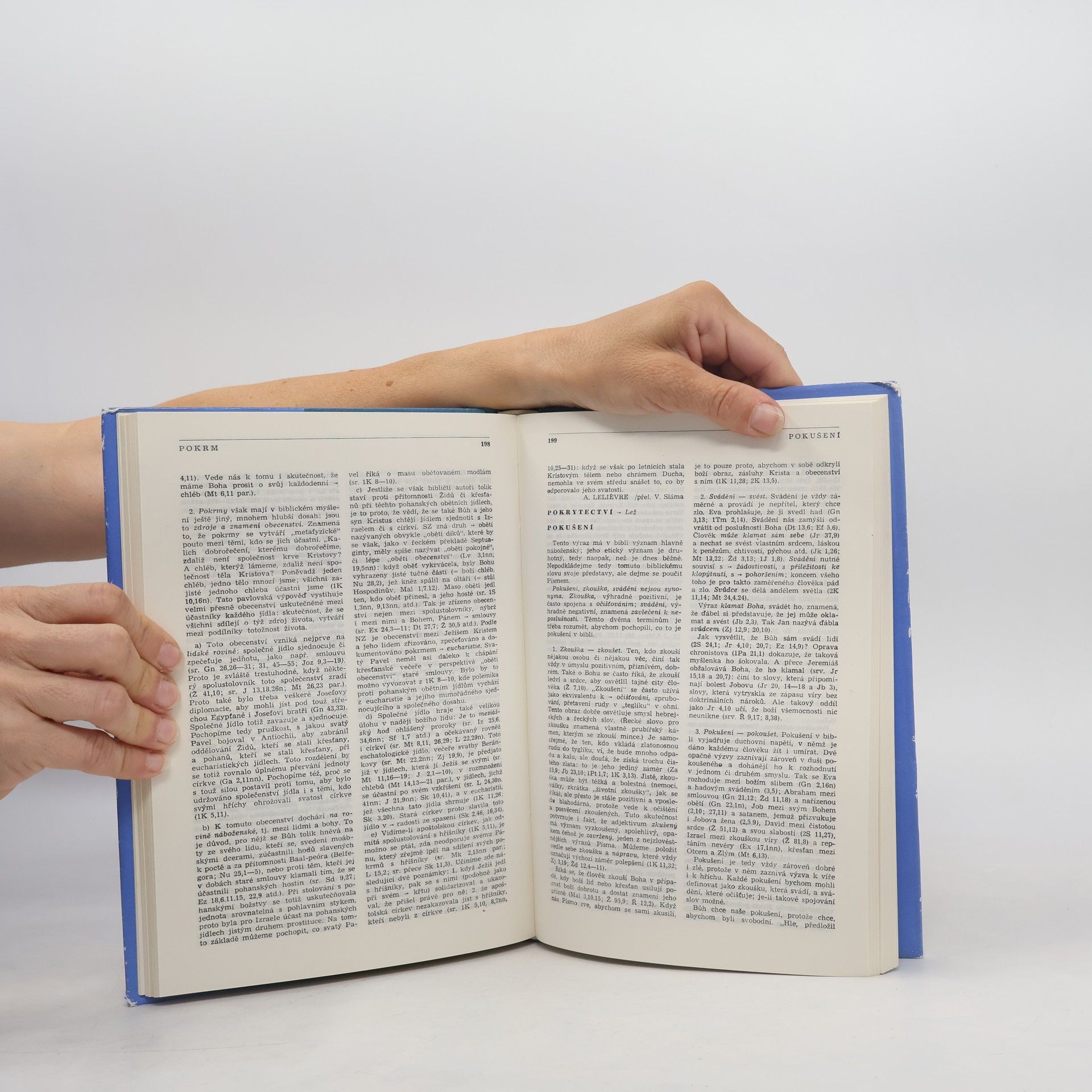 Collectif d'auteurs Biblický slovník