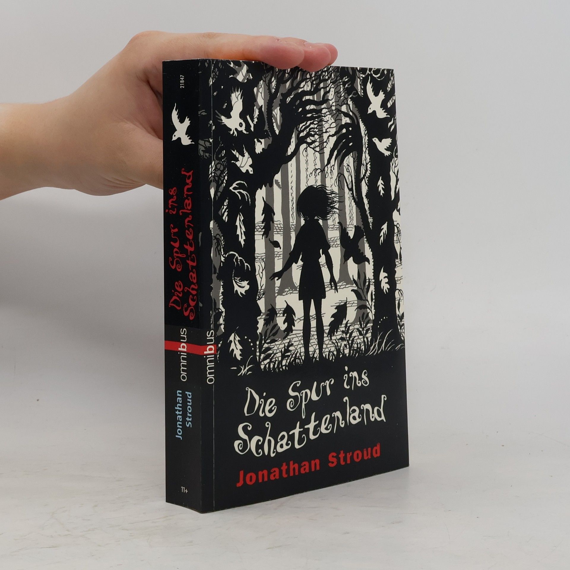 Jonathan Stroud Die Spur ins Schattenland