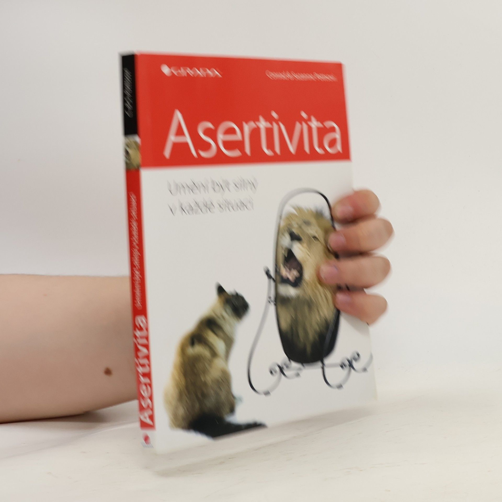 Suzanne Potts Asertivita: Umění být silný v každé situaci