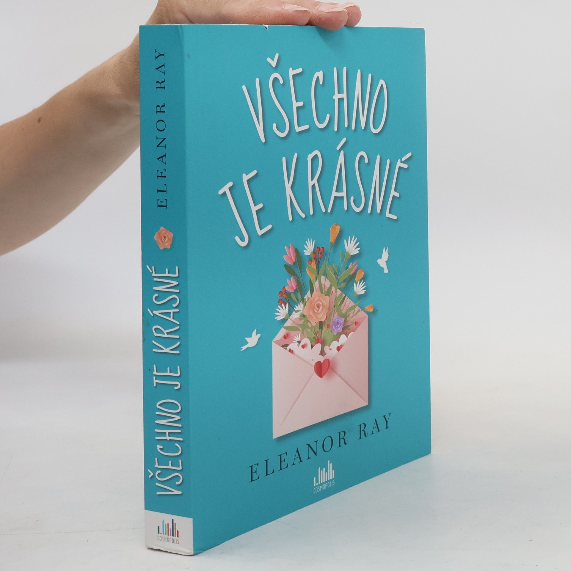 Eleanor Ray Všechno je krásné