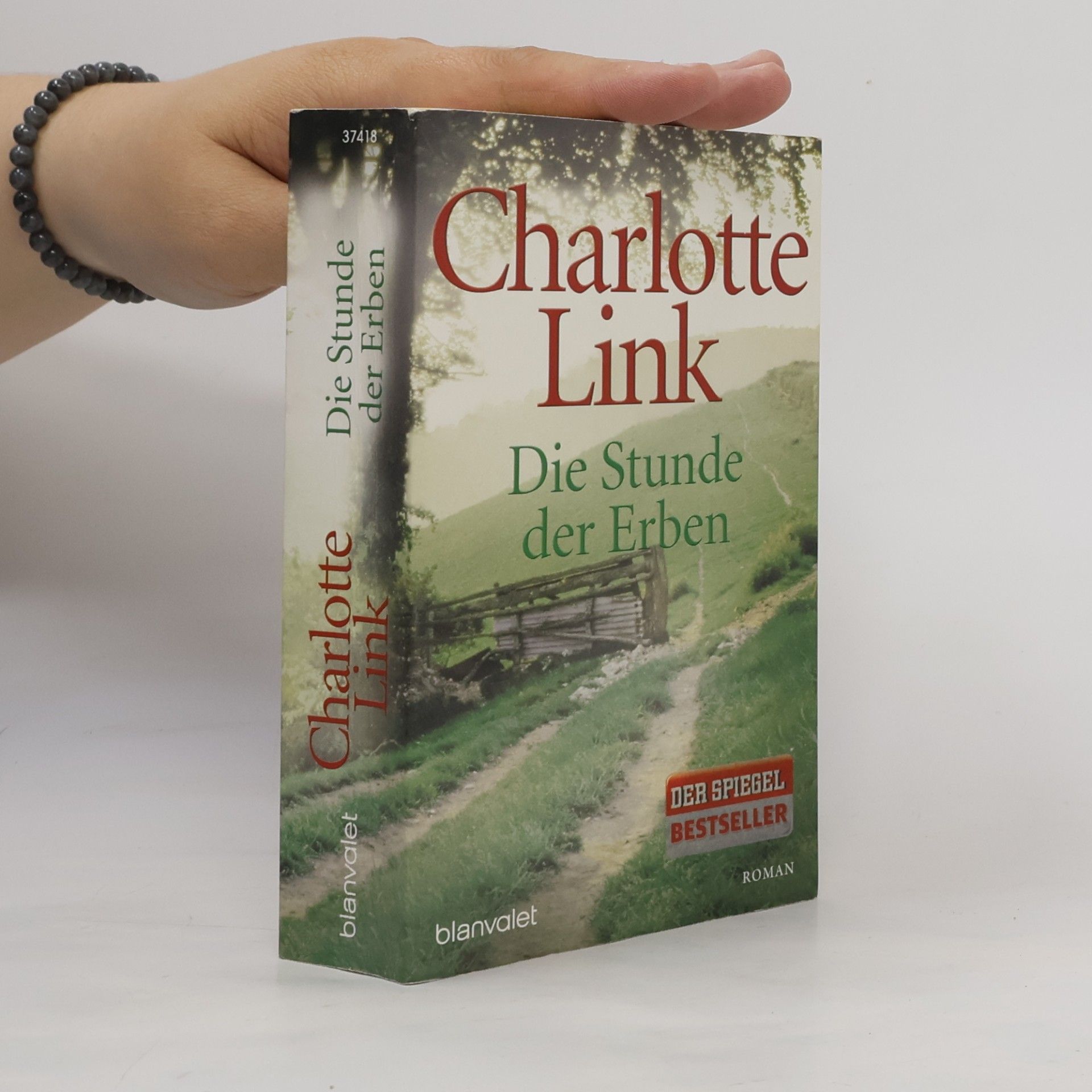 Charlotte Link Die Stunde der Erben