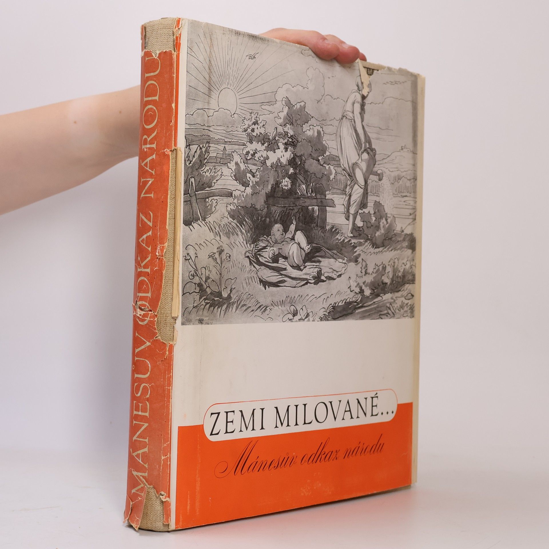 Josef Mánes Zemi Milované... Mánesův odkaz národu