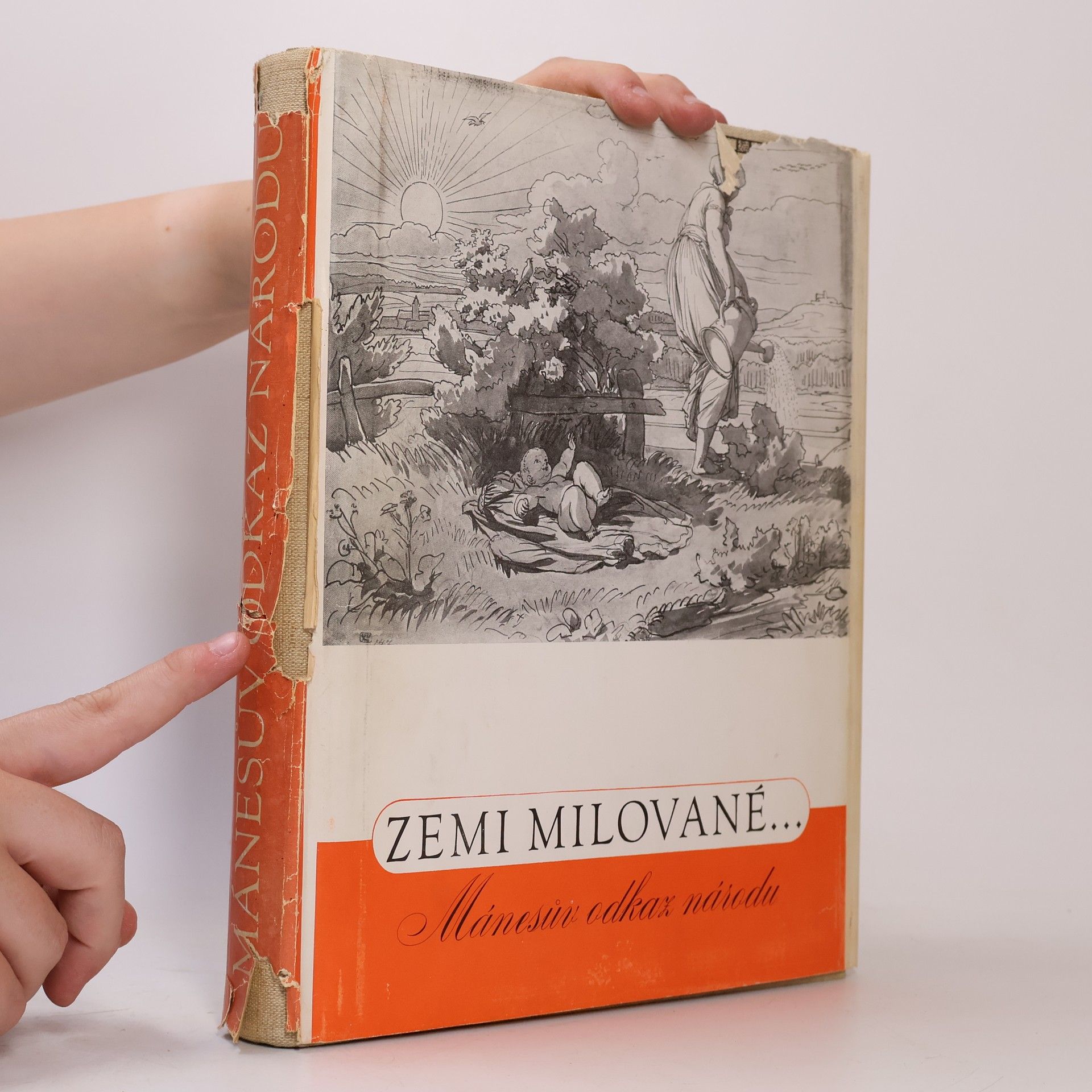 Josef Mánes Zemi Milované... Mánesův odkaz národu