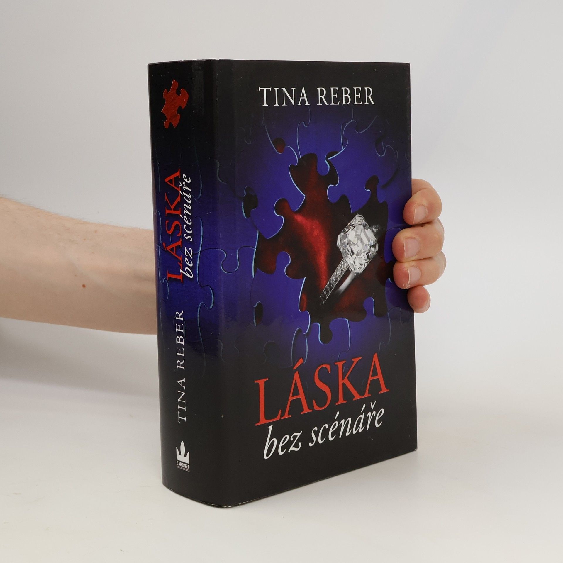 Tina Reber Láska bez scénáře