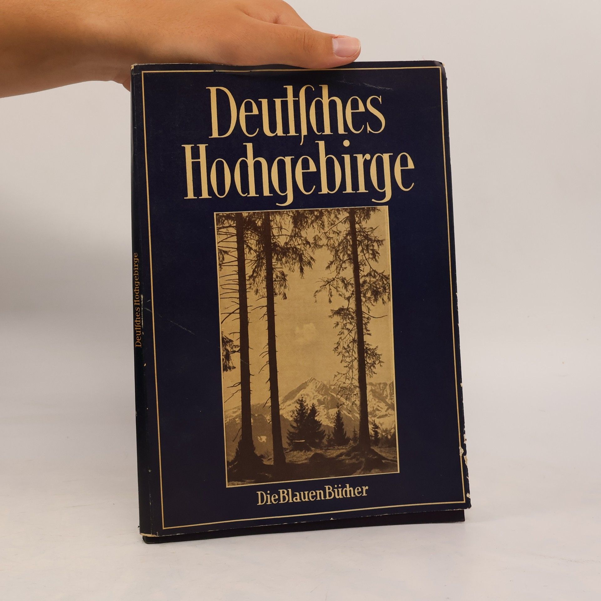 Hans Brandenburg Deutsches Hochgebirge