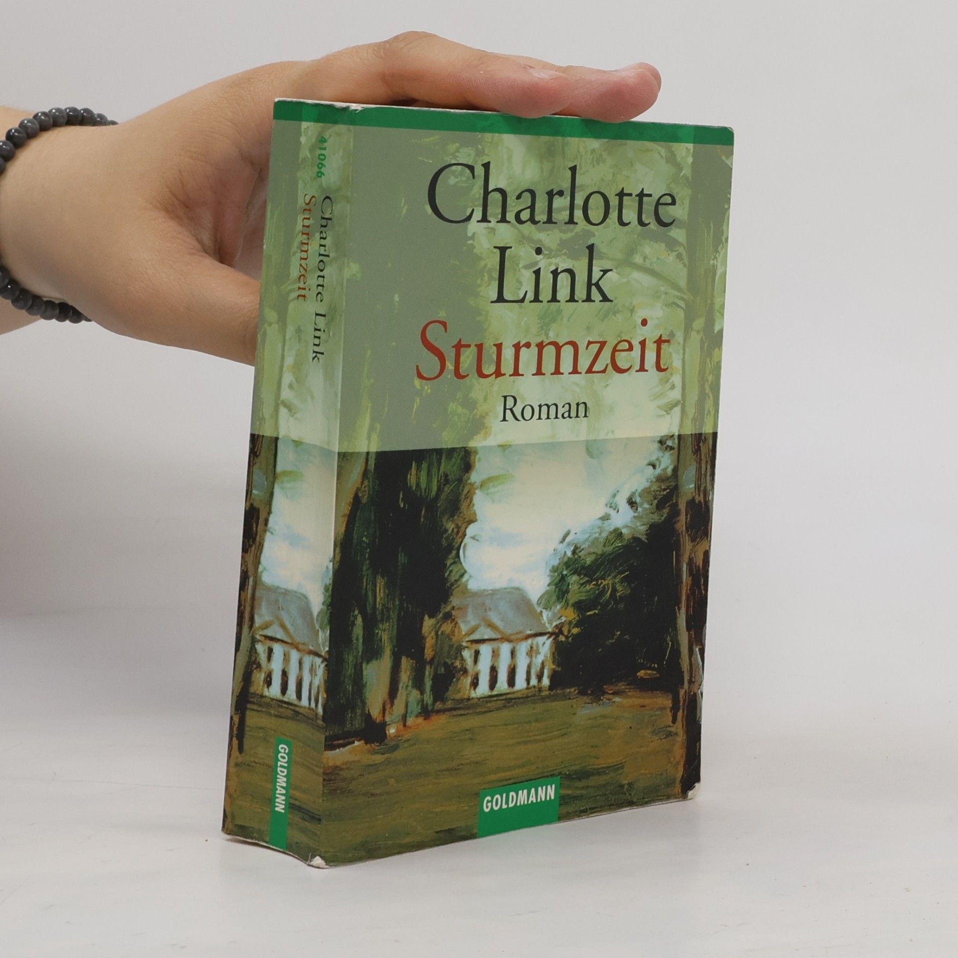 Charlotte Link Sturmzeit