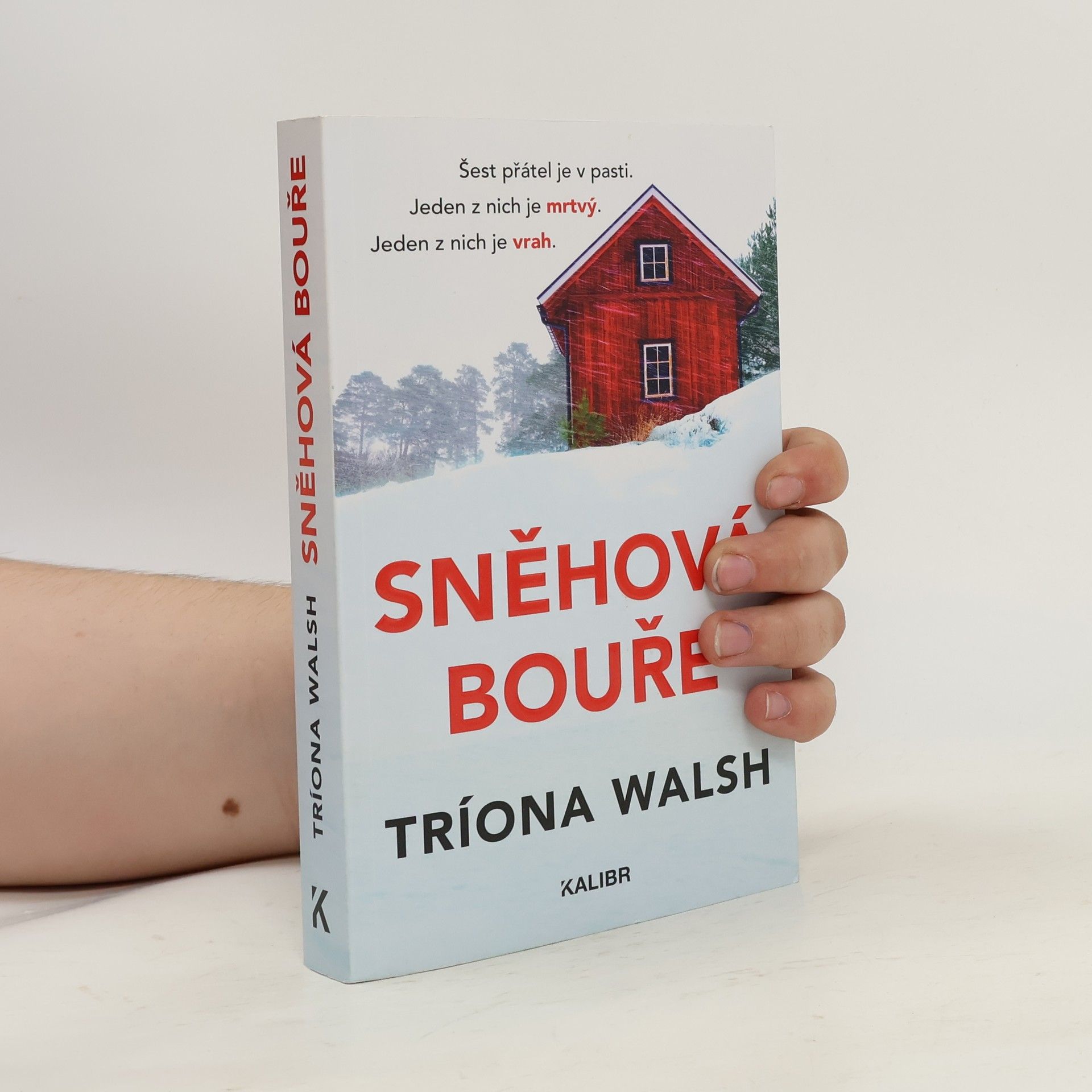 Tríona Walsh Sněhová bouře