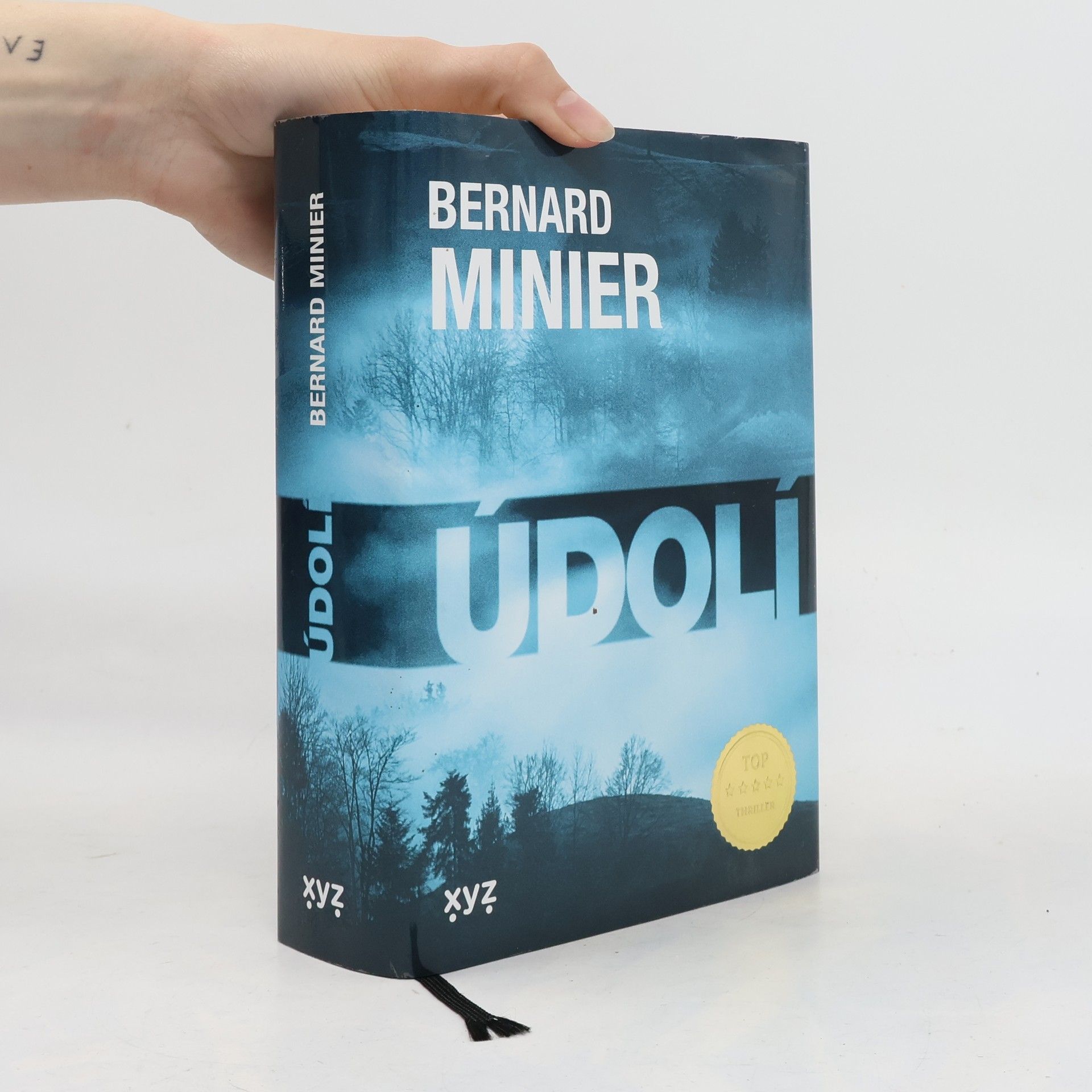 Údolí