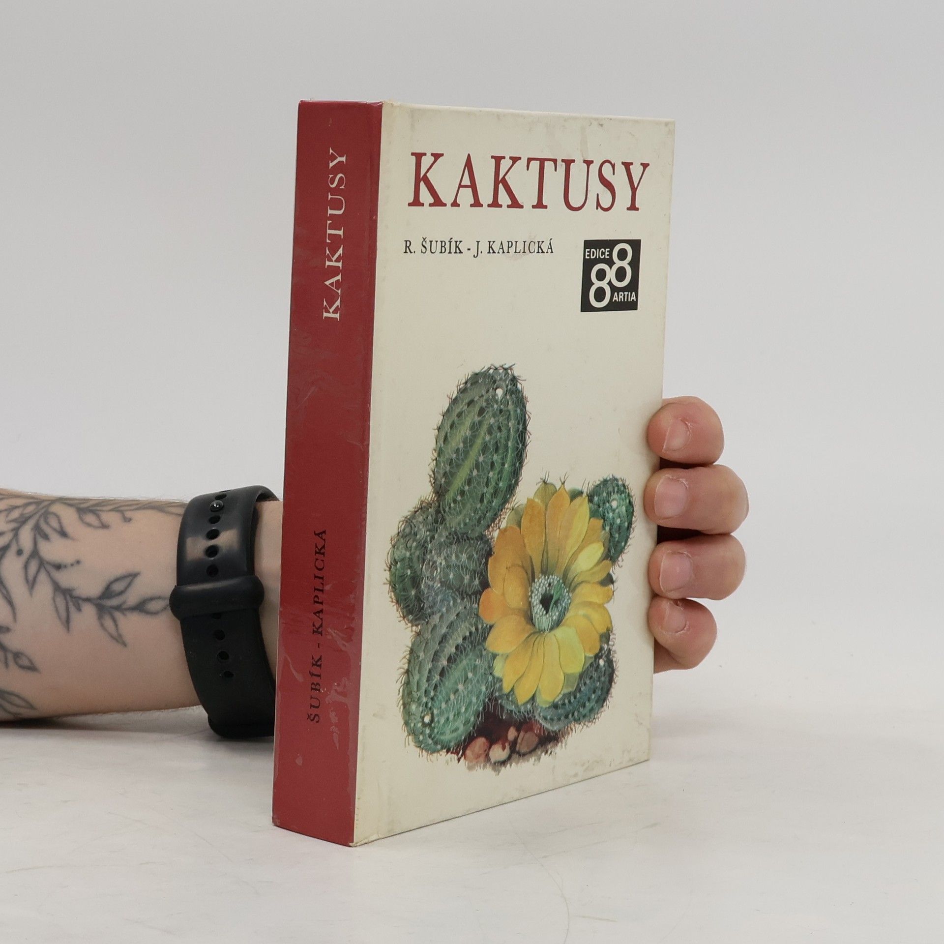 Kaktusy