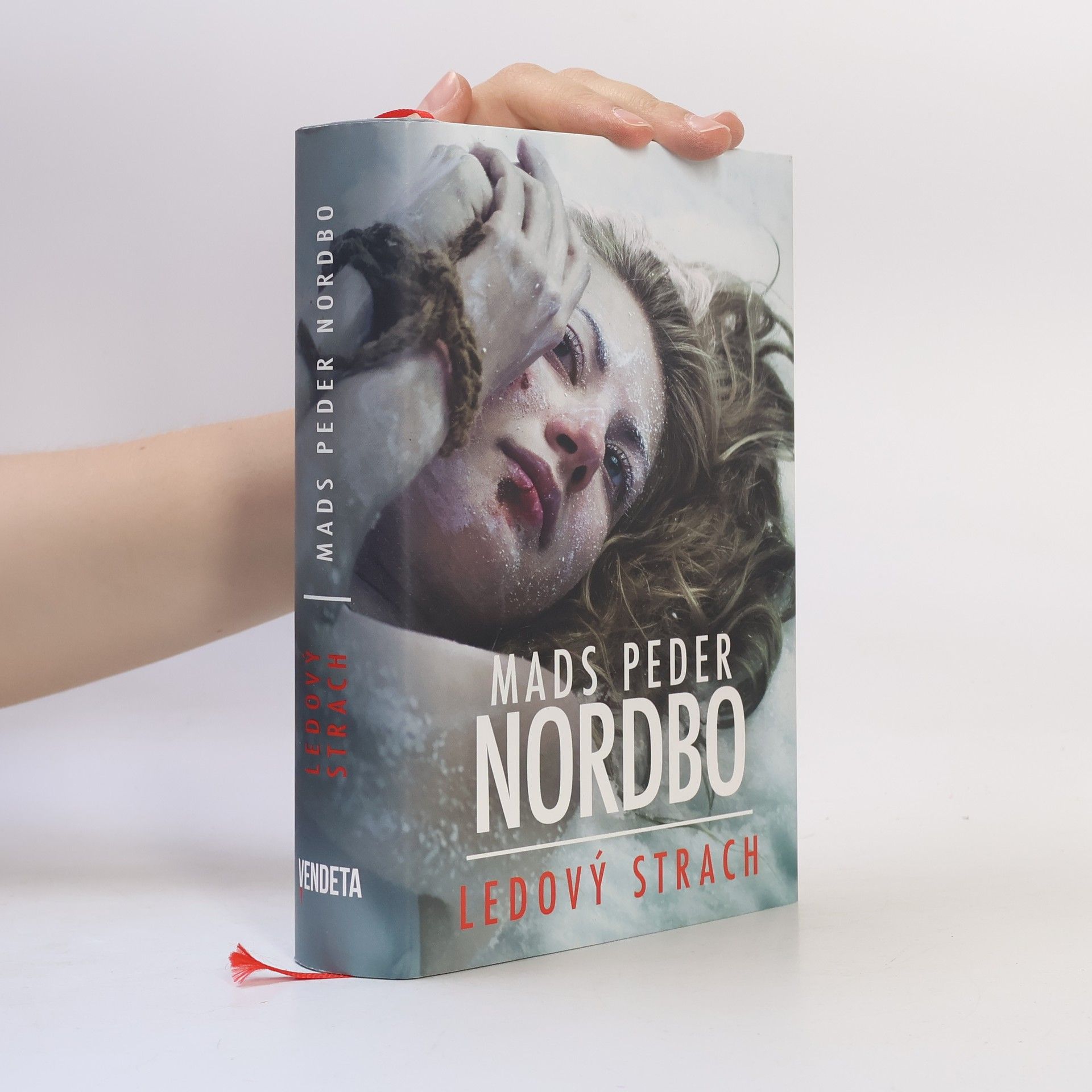 Mads Peder Nordbo Ledový strach