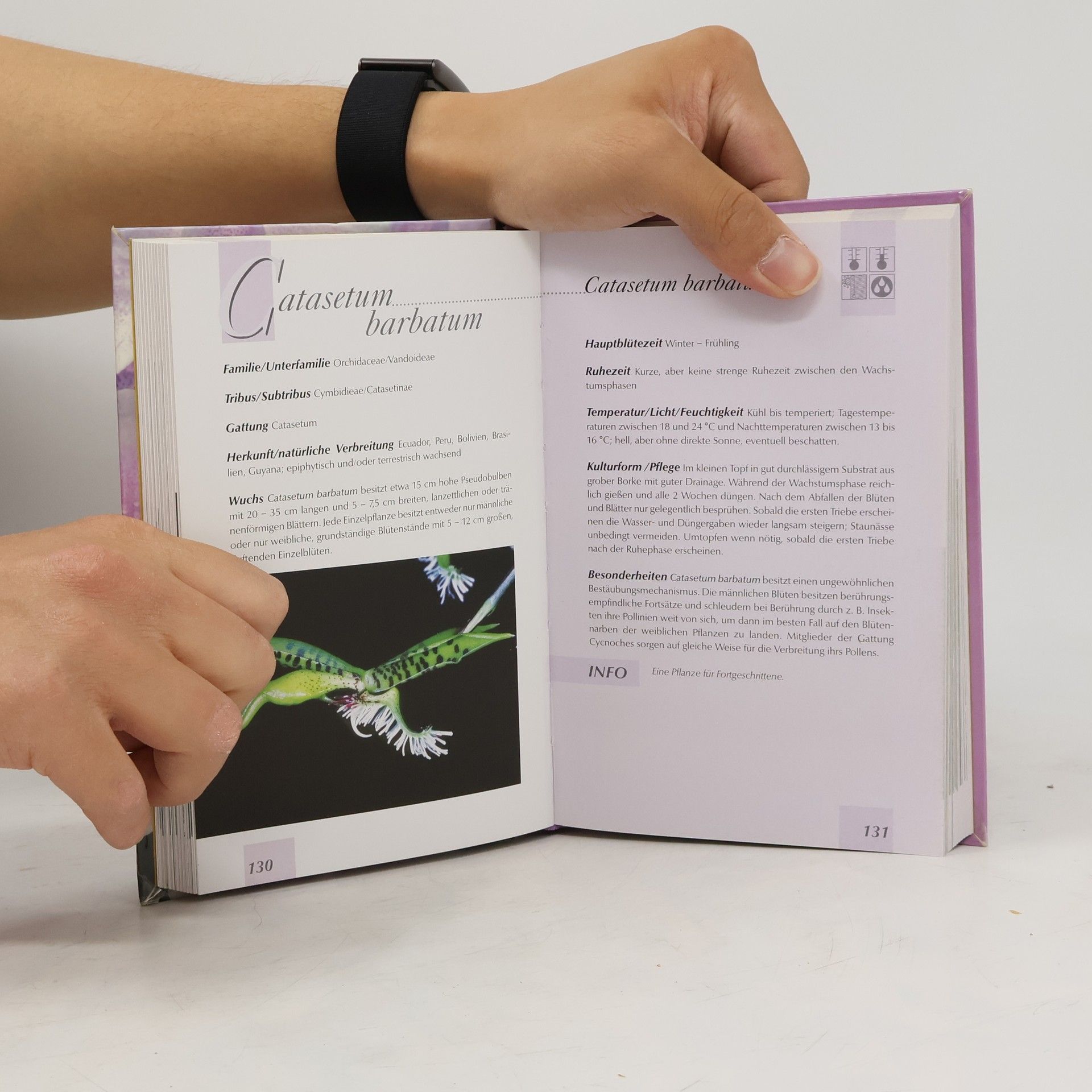 Autores varios Handbuch Orchideen