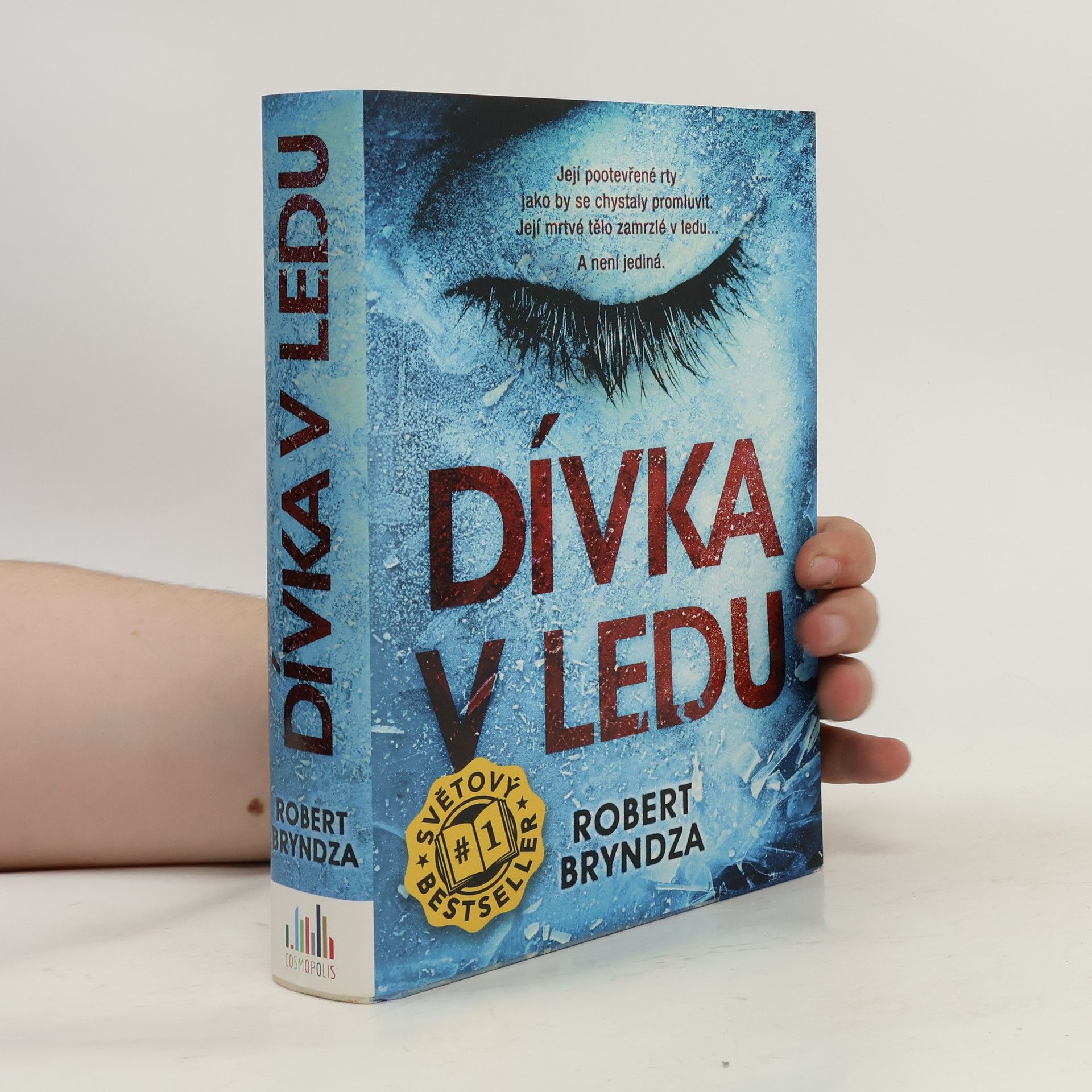 Robert Bryndza Dívka v ledu