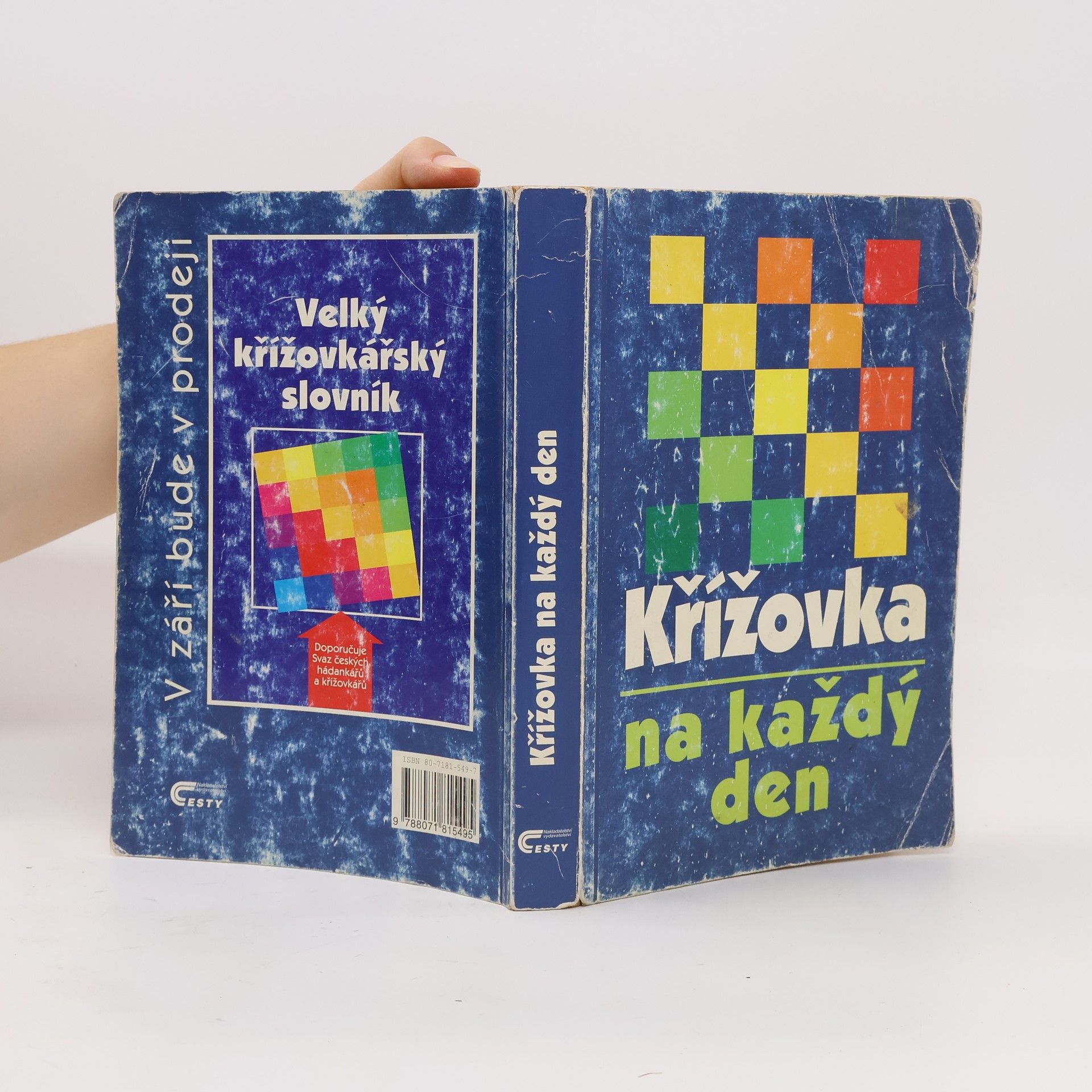 Kolektiv autorů Křížovka na každý den 2001