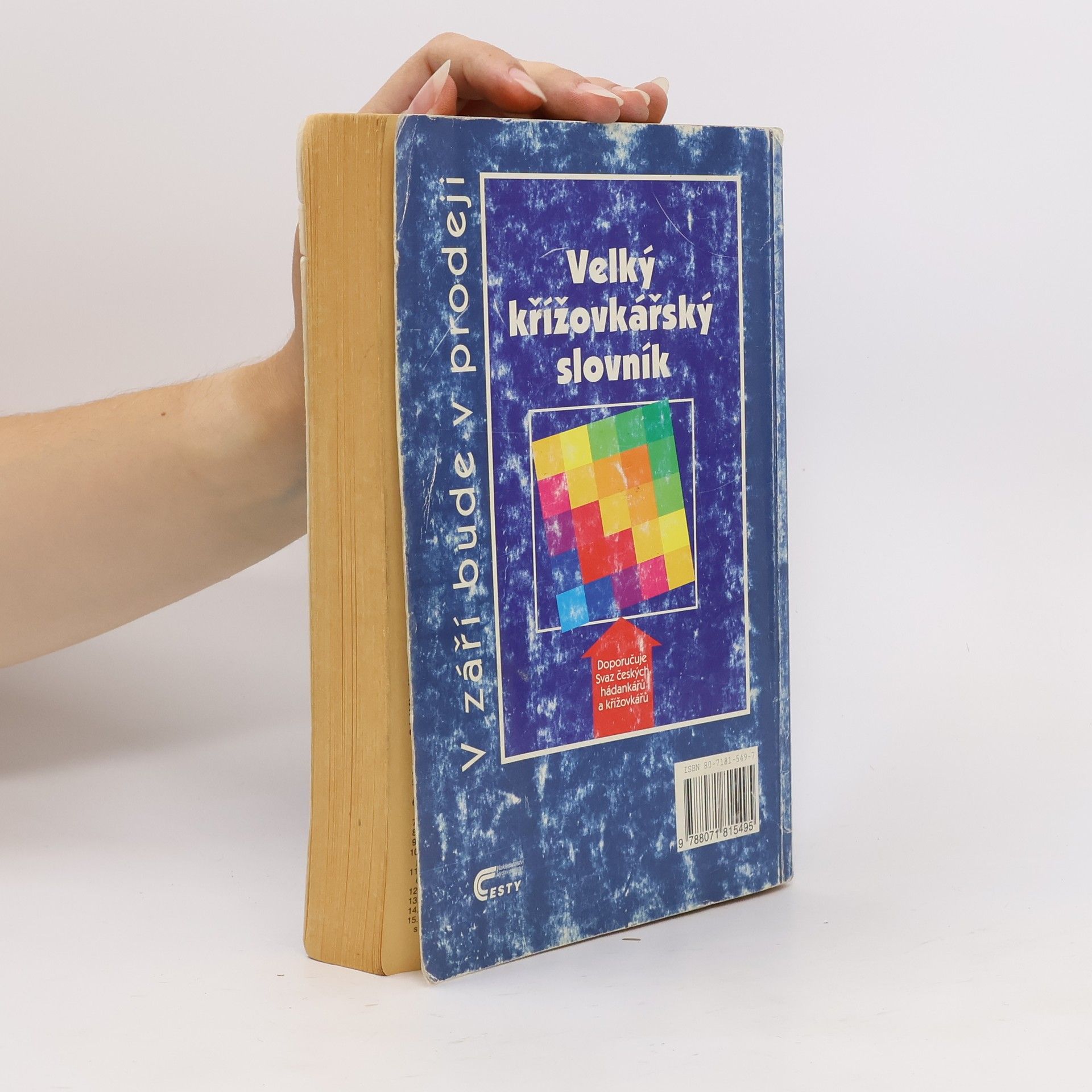 Kolektiv autorů Křížovka na každý den 2001