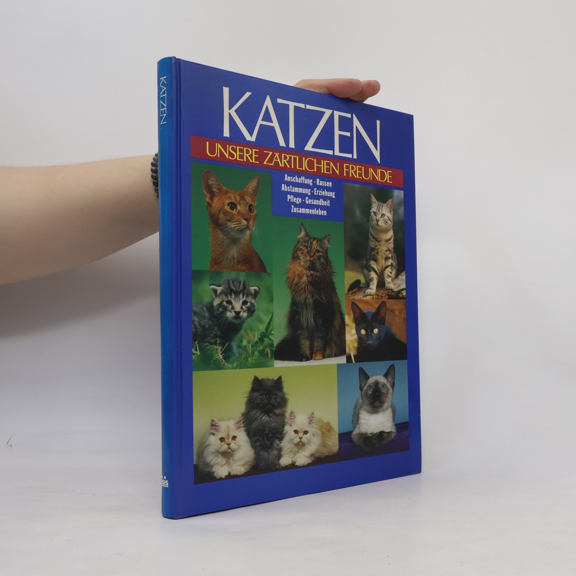 Antje Breuer Katzen. Unsere zärtlichen Freunde