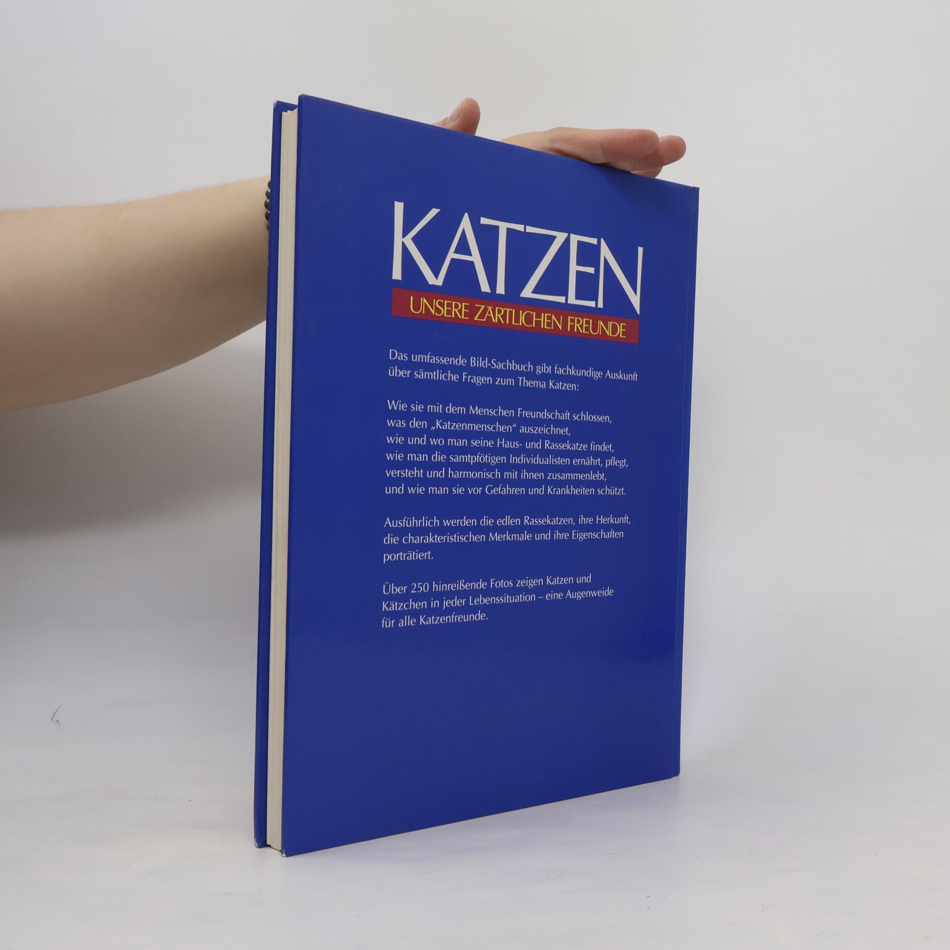 Antje Breuer Katzen. Unsere zärtlichen Freunde