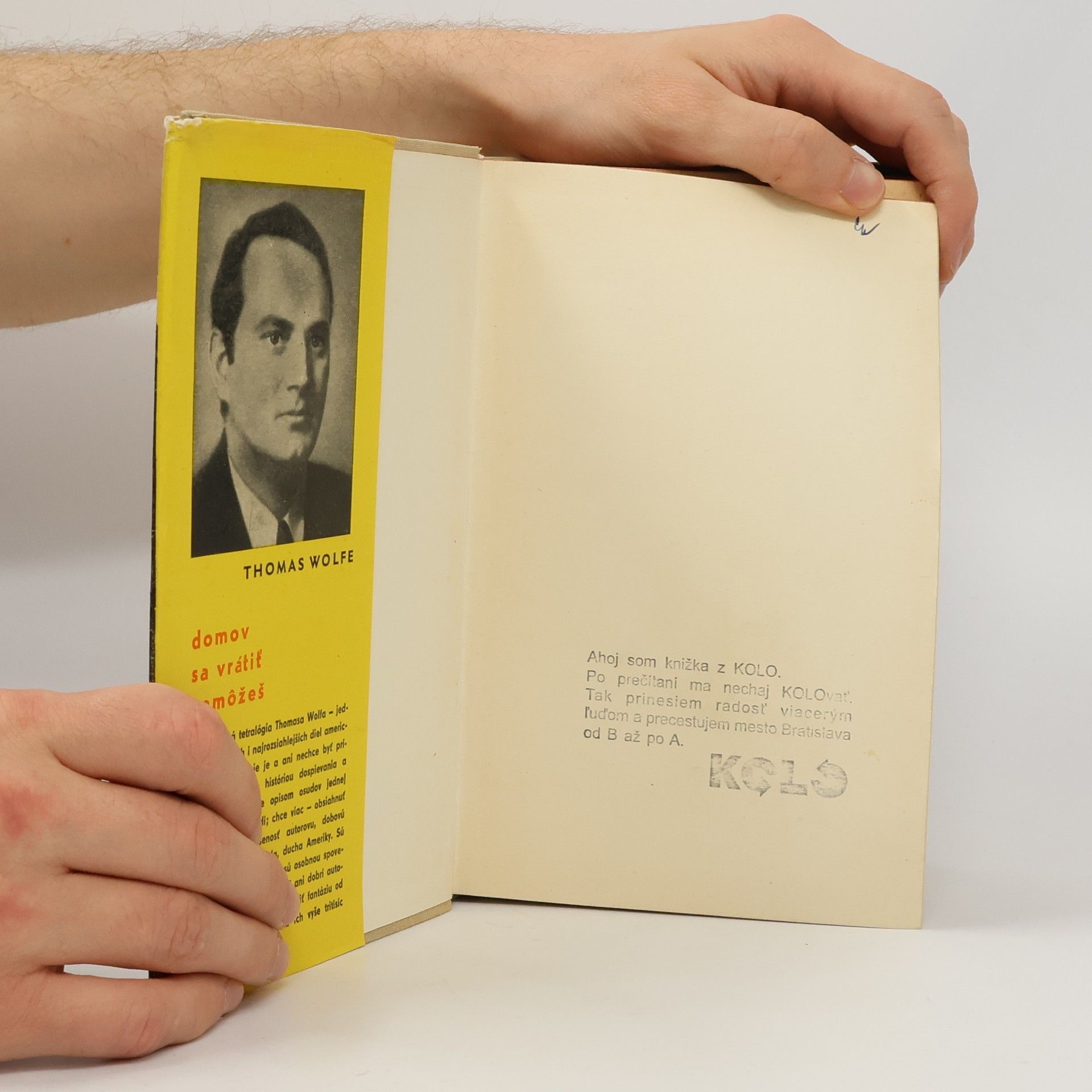Thomas Clayton Wolfe Domov sa vrátiť nemôžeš