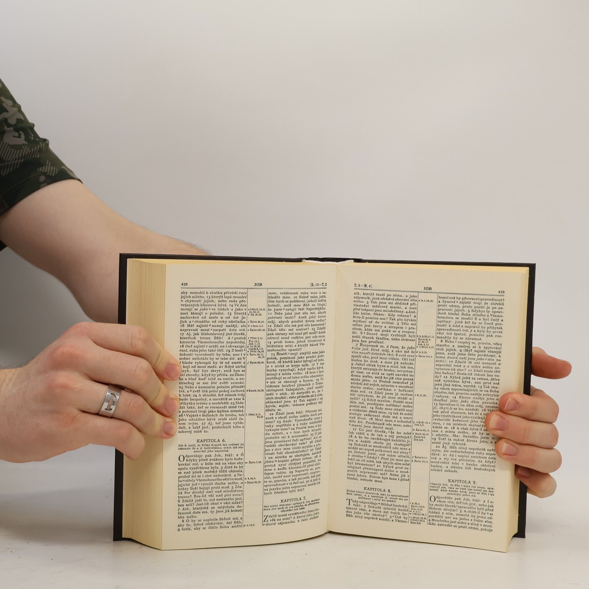 Autorenkollektiv Bible svatá aneb všecka svatá písma Starého i Nového zákona