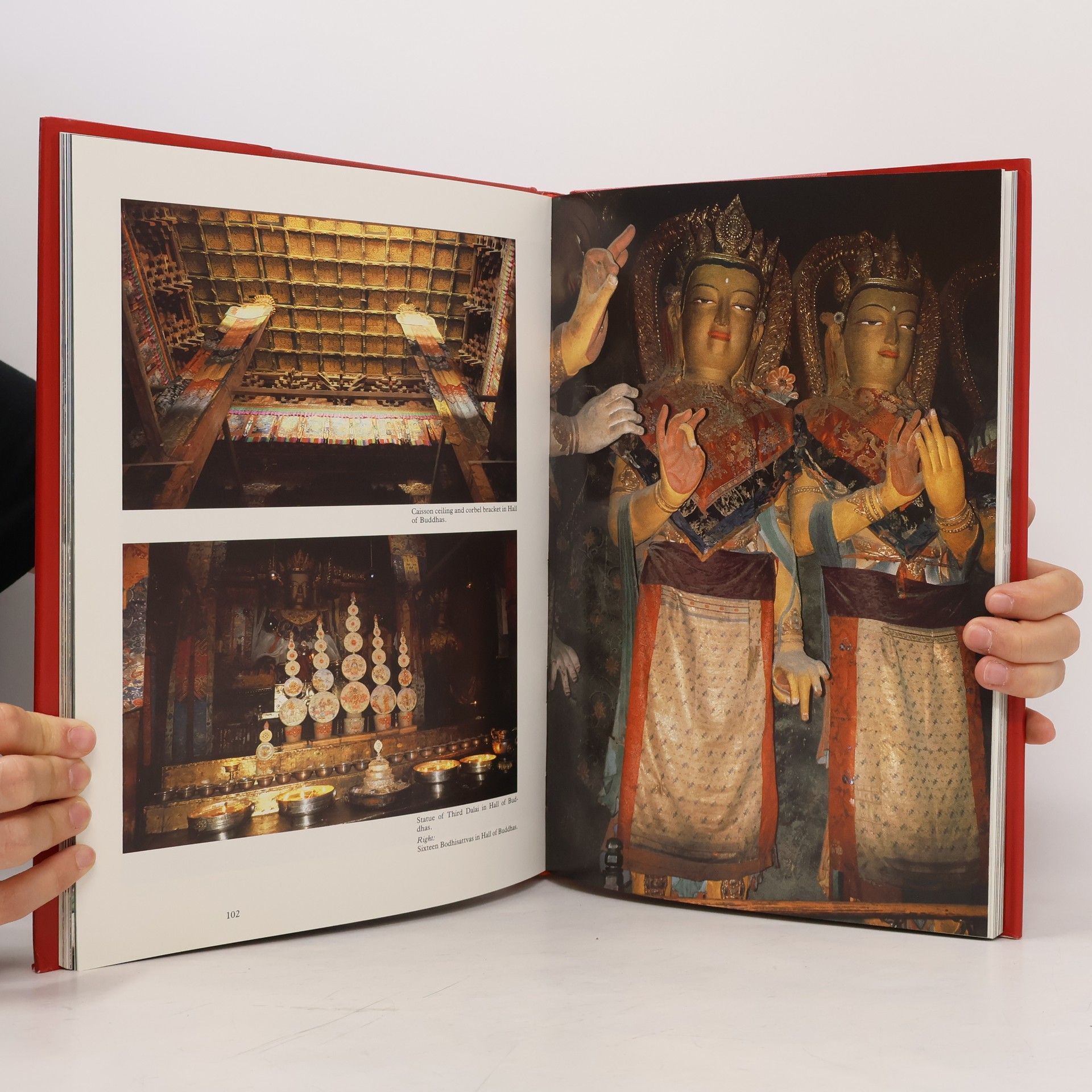 Ku-sheng Yang Tibet