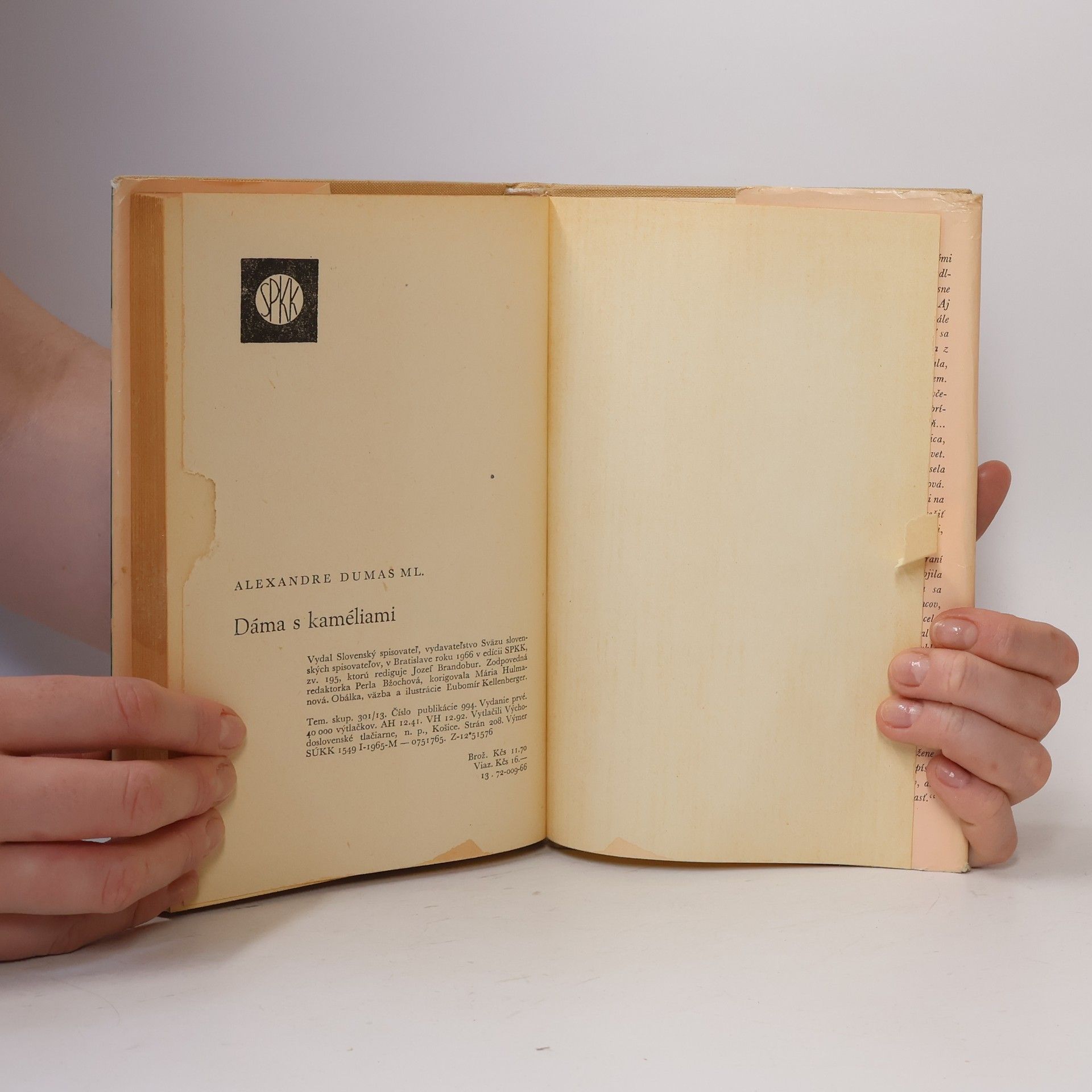 Alexandre Dumas der Jüngere Dáma s kaméliami
