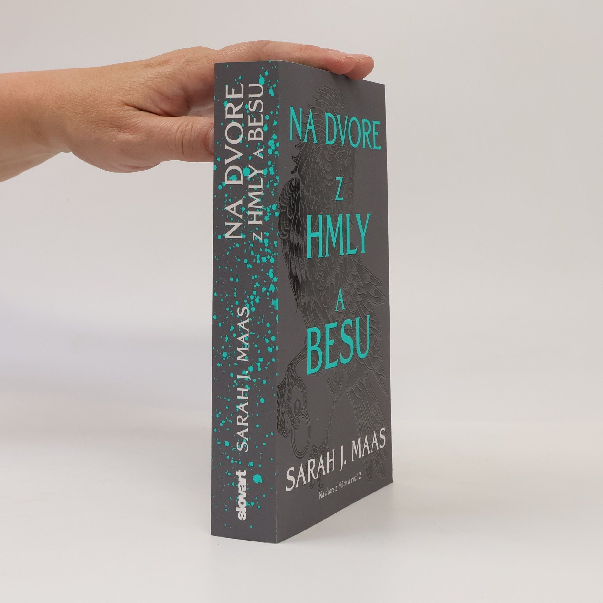 Sarah J. Maas Na dvore z hmly a besu