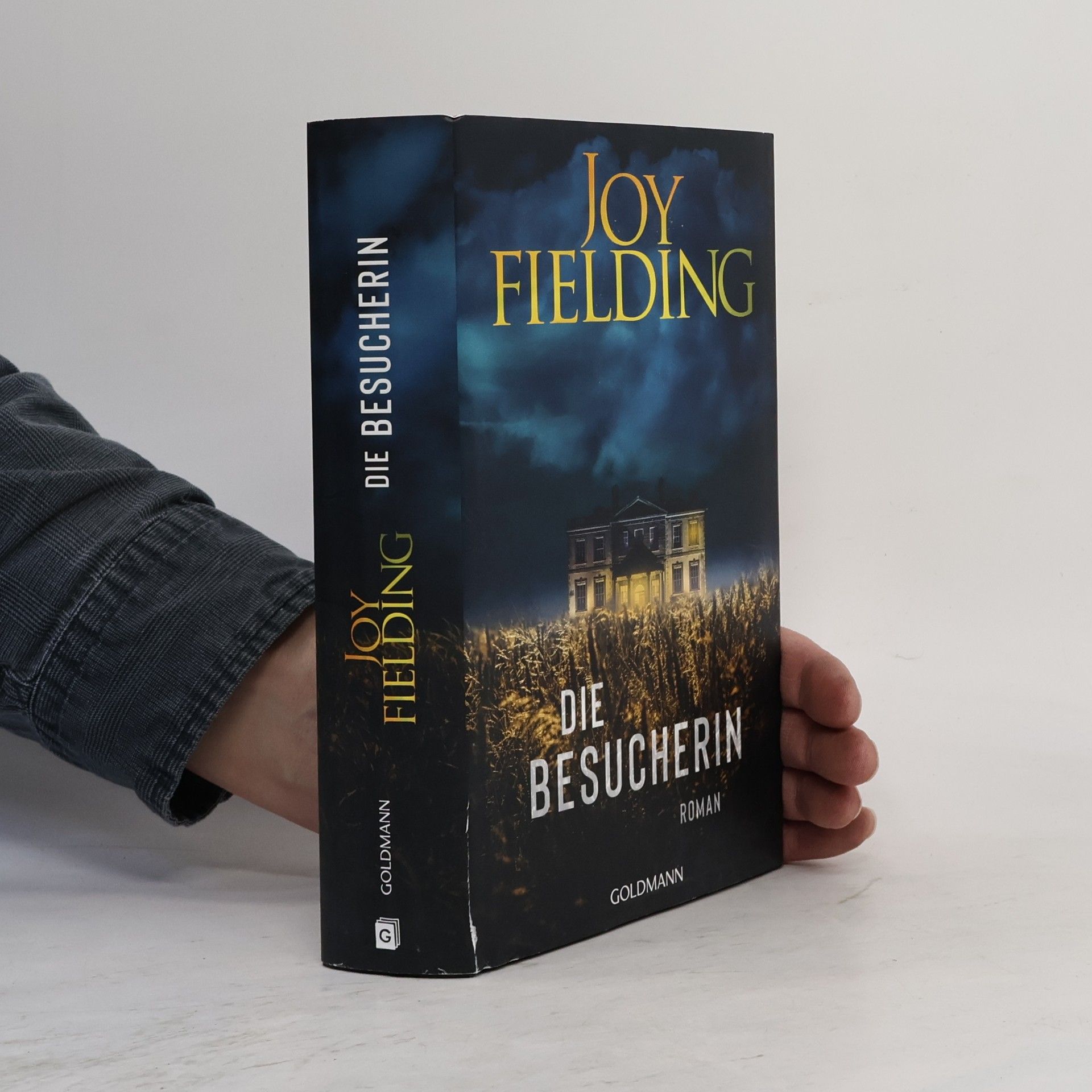 Joy Fielding Die Besucherin