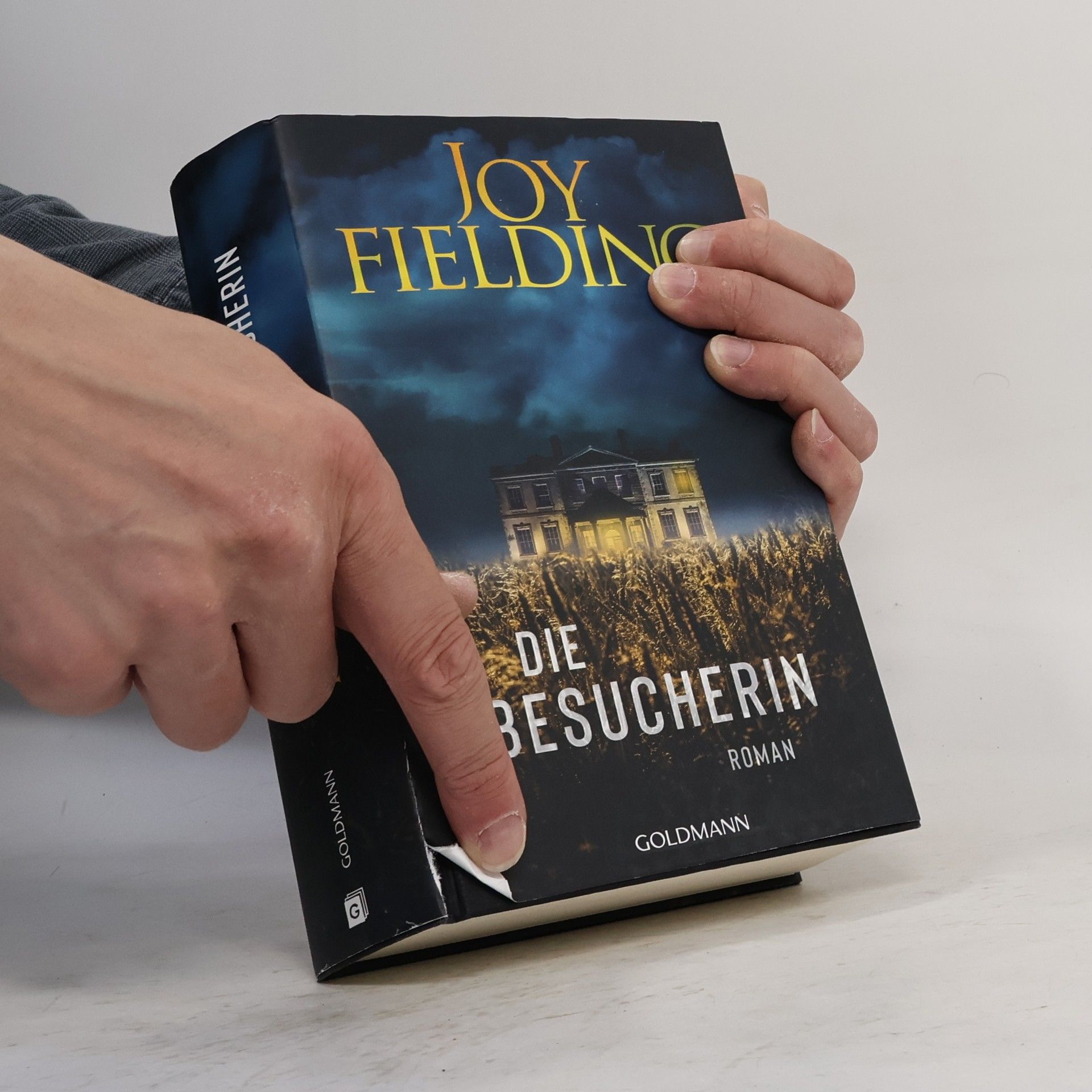 Joy Fielding Die Besucherin