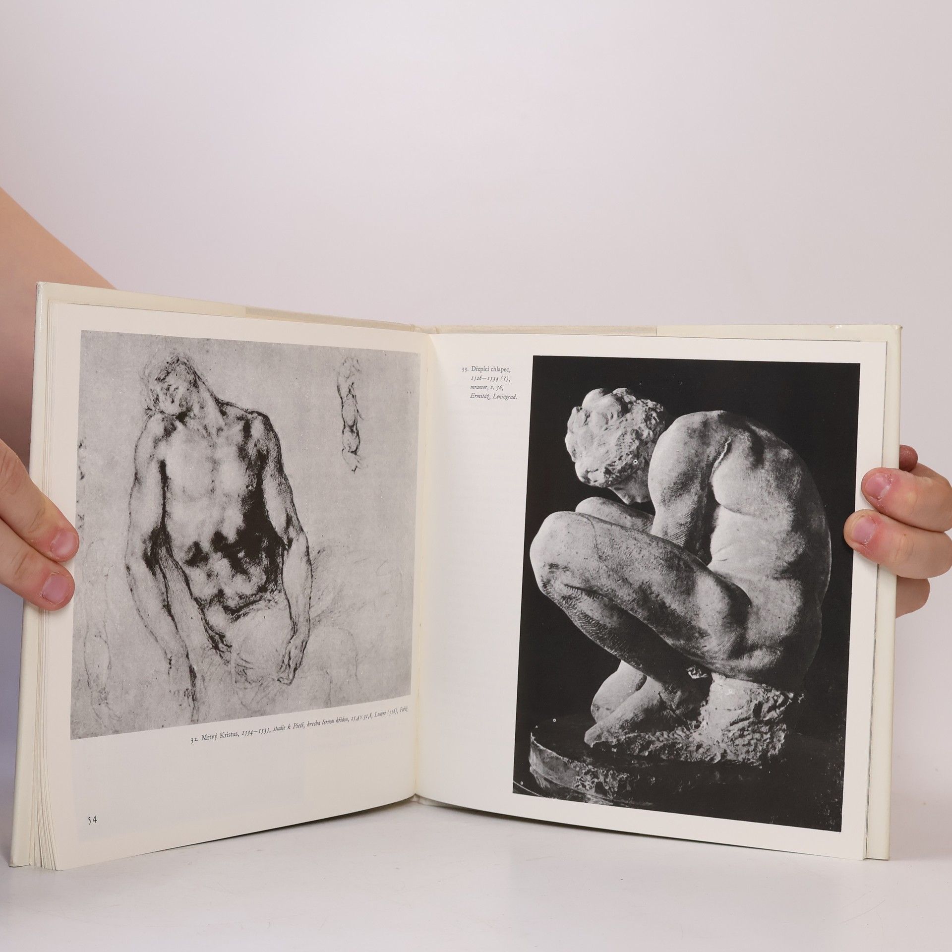 Oldřich J. Blažíček Michelangelo