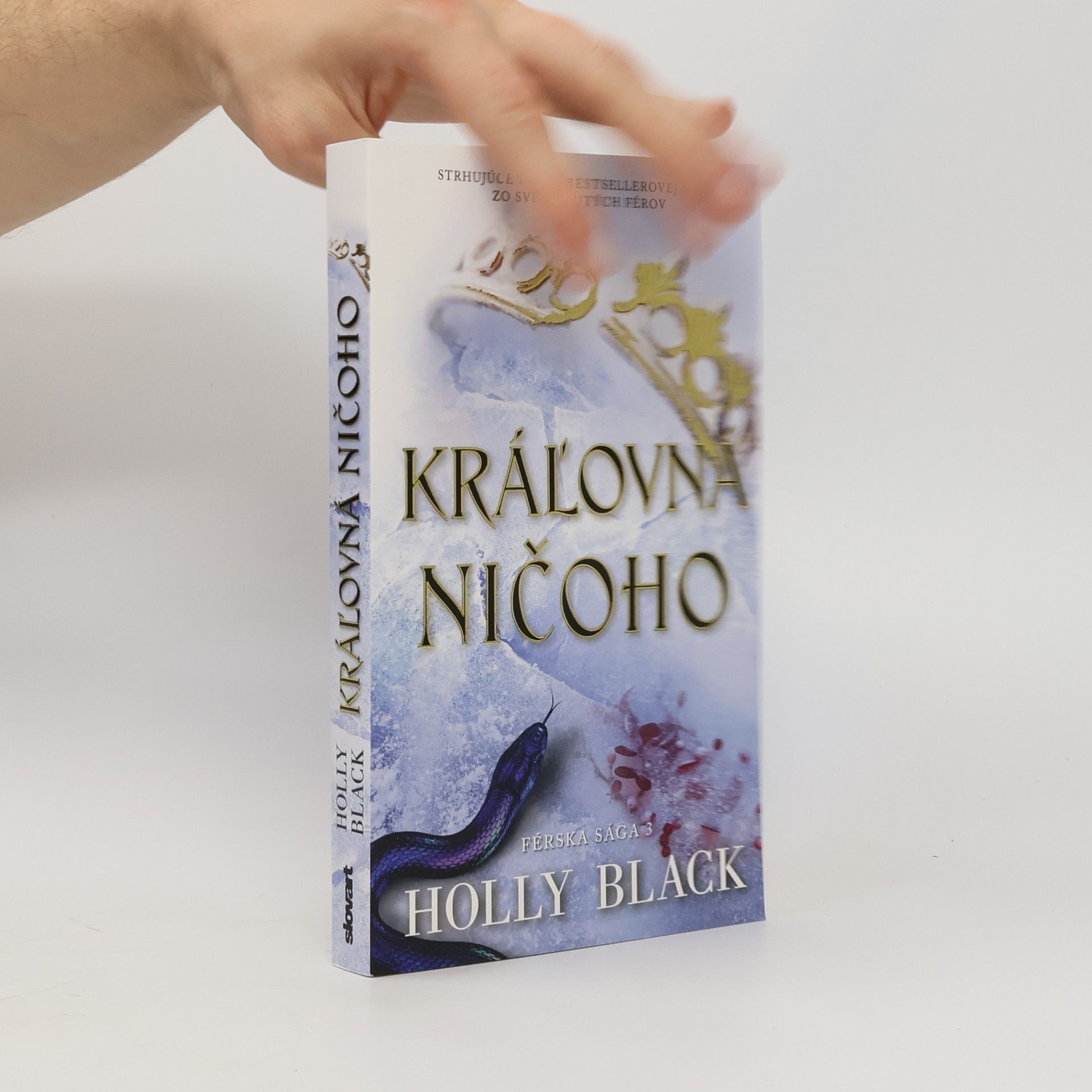Holly Black Kráľovná ničoho