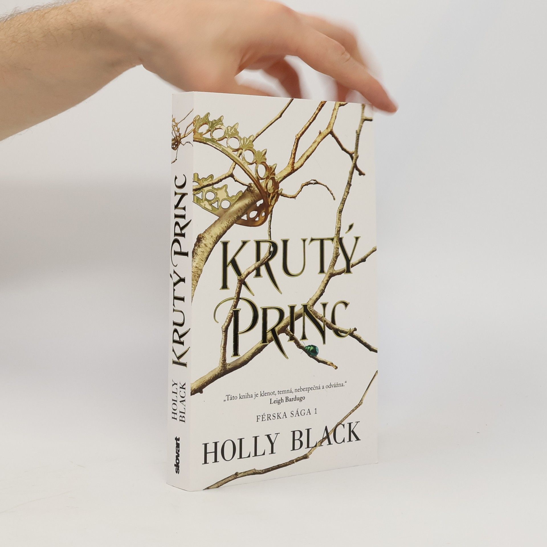 Holly Black Krutý princ