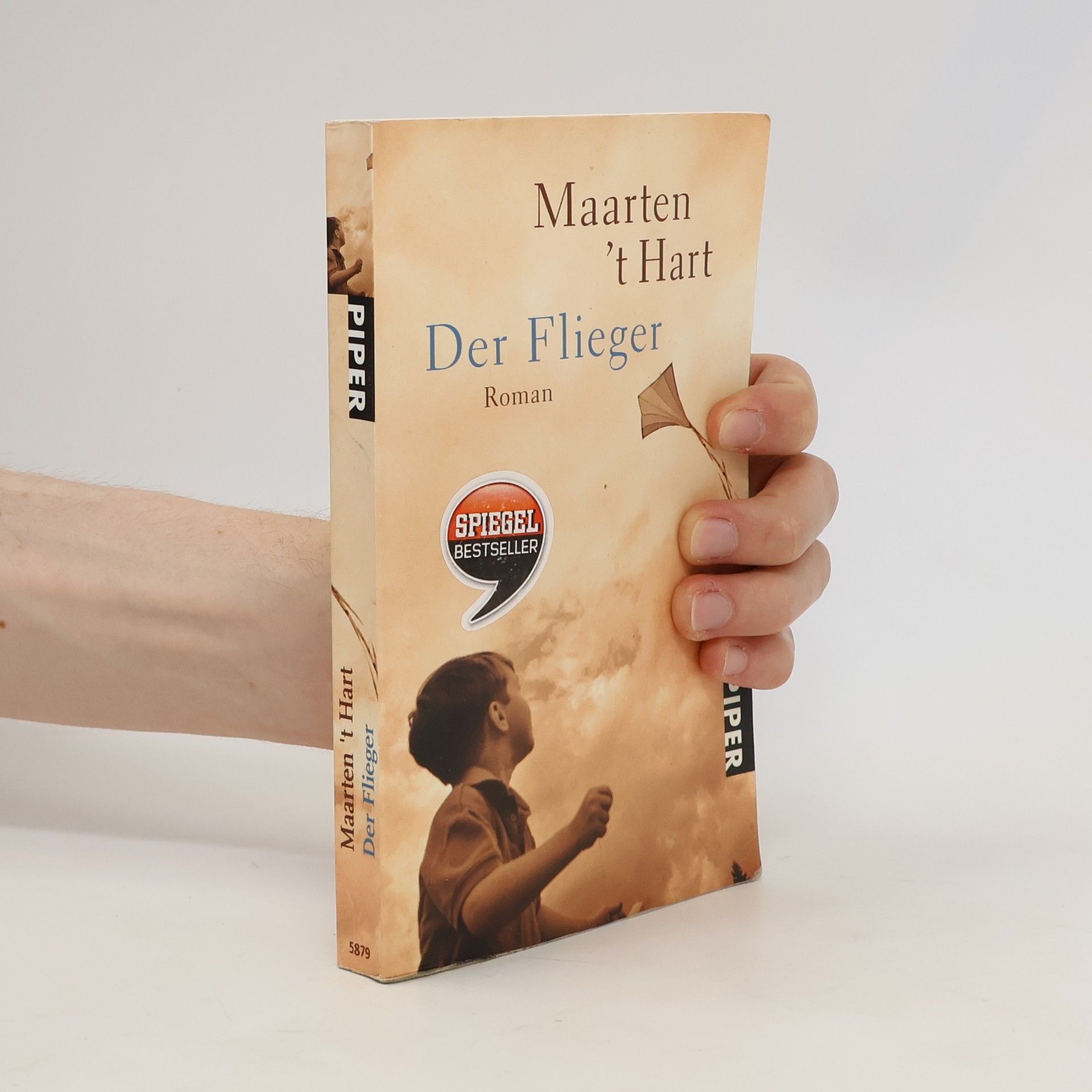 Maarten t. Hart Der Flieger