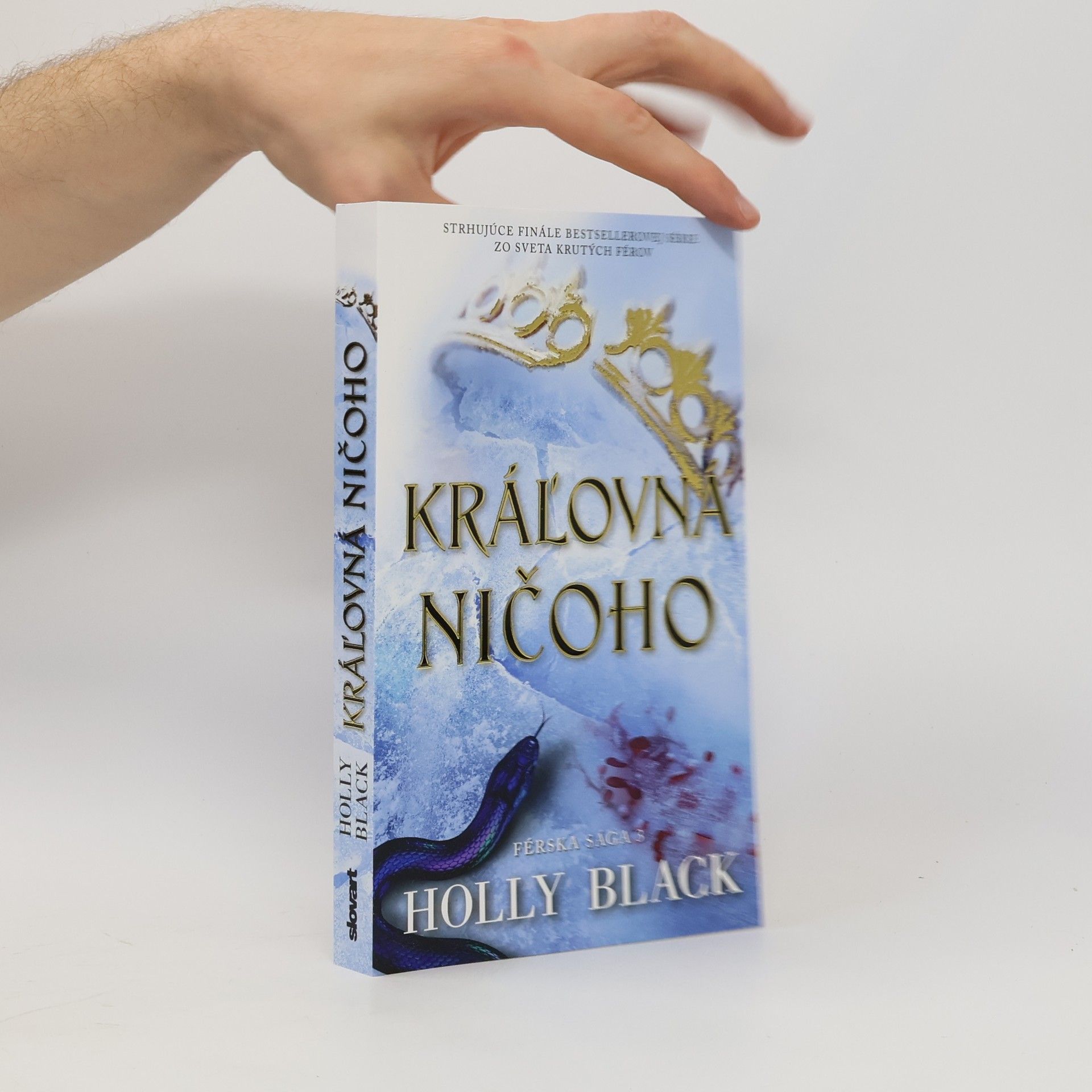 Holly Black Kráľovná ničoho