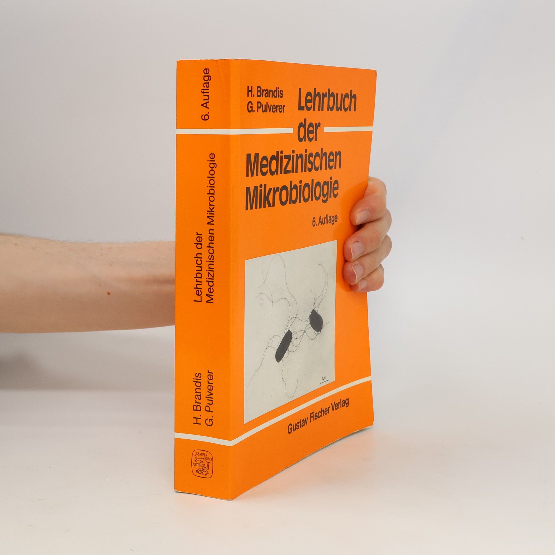 Gerhard Pulvever Lehrbuch der medizinischen Mikrobiologie