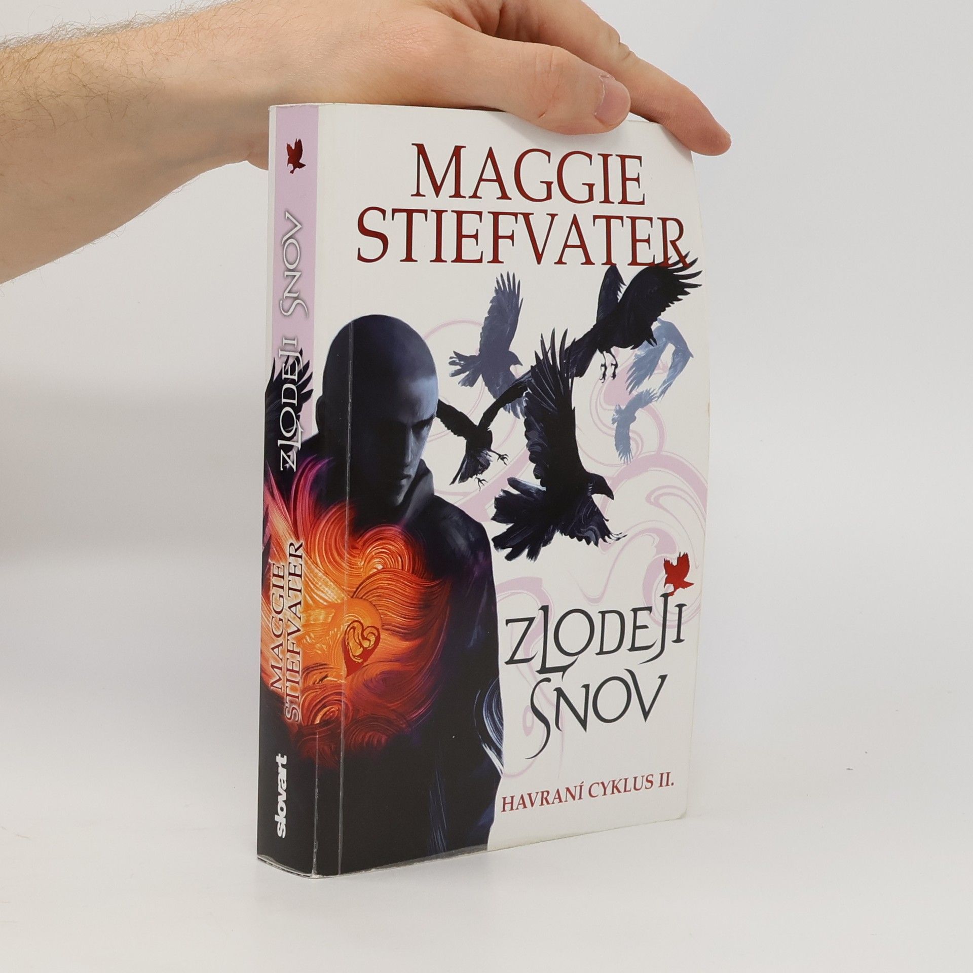 Maggie Stiefvater Zlodeji snov