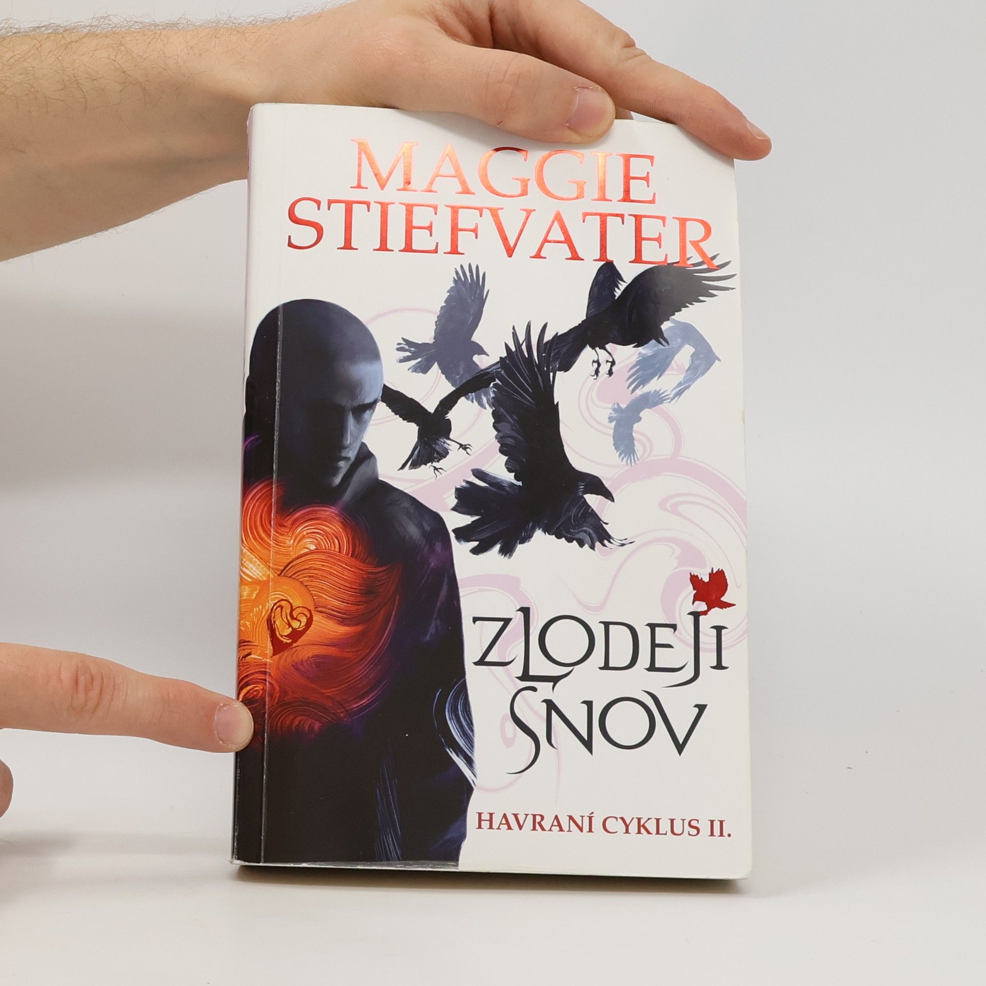 Maggie Stiefvater Zlodeji snov