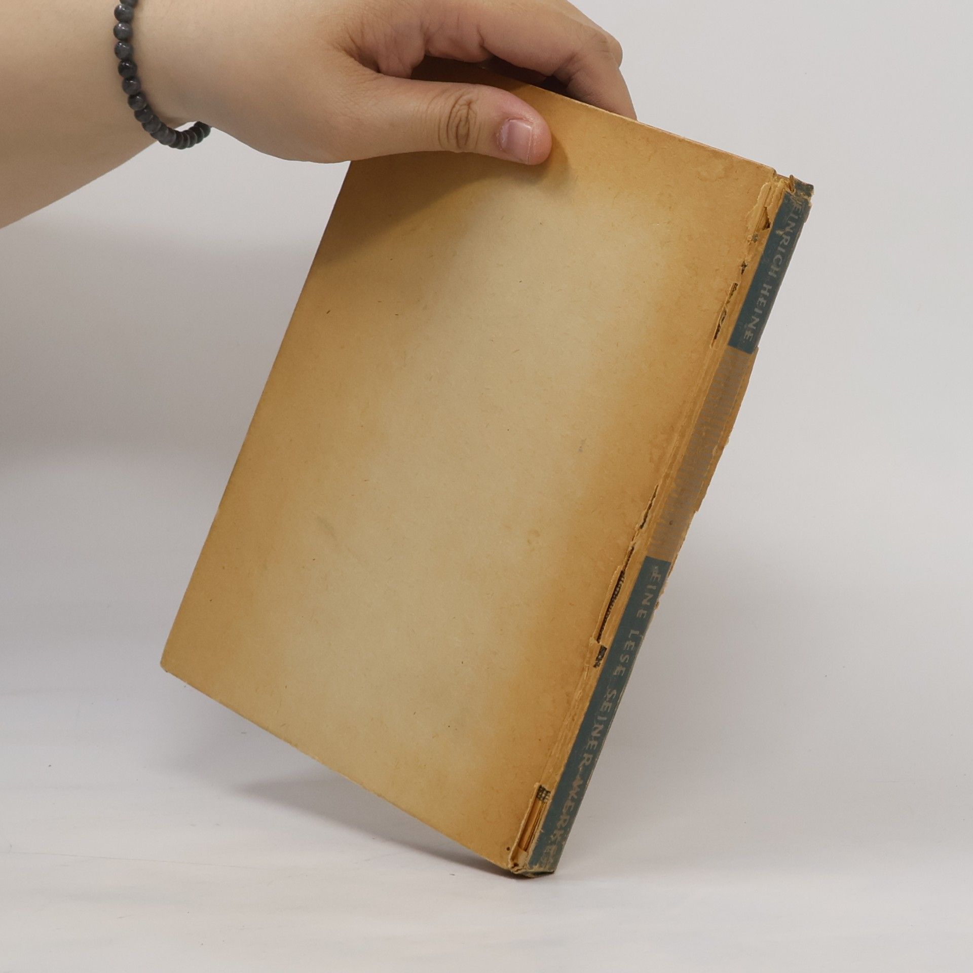 Heinrich Heine Eine lese seiner Werke