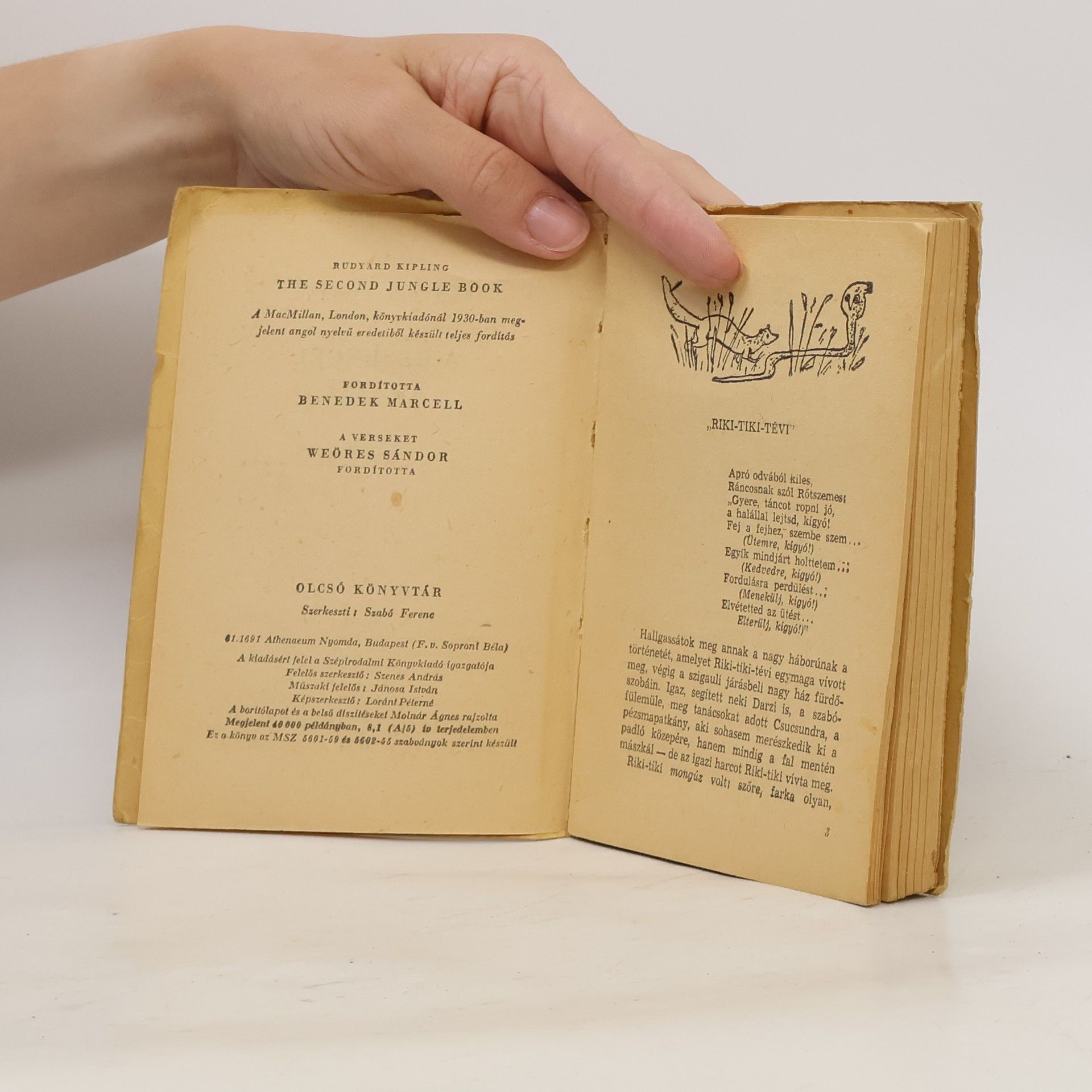 Rudyard Kipling A dzsungel könyve