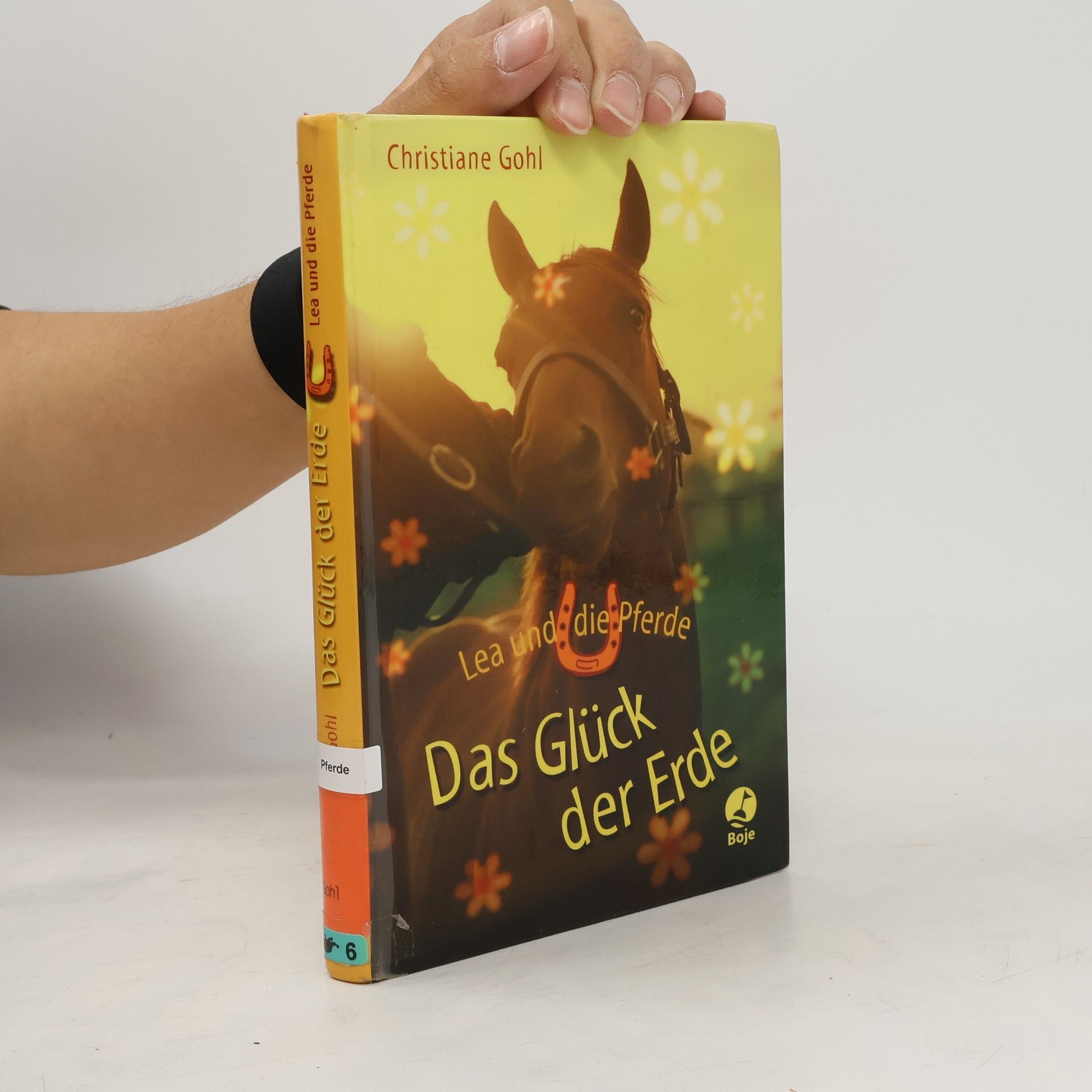 Christiane Gohl Lea und die Pferde - Das Glück der Erde