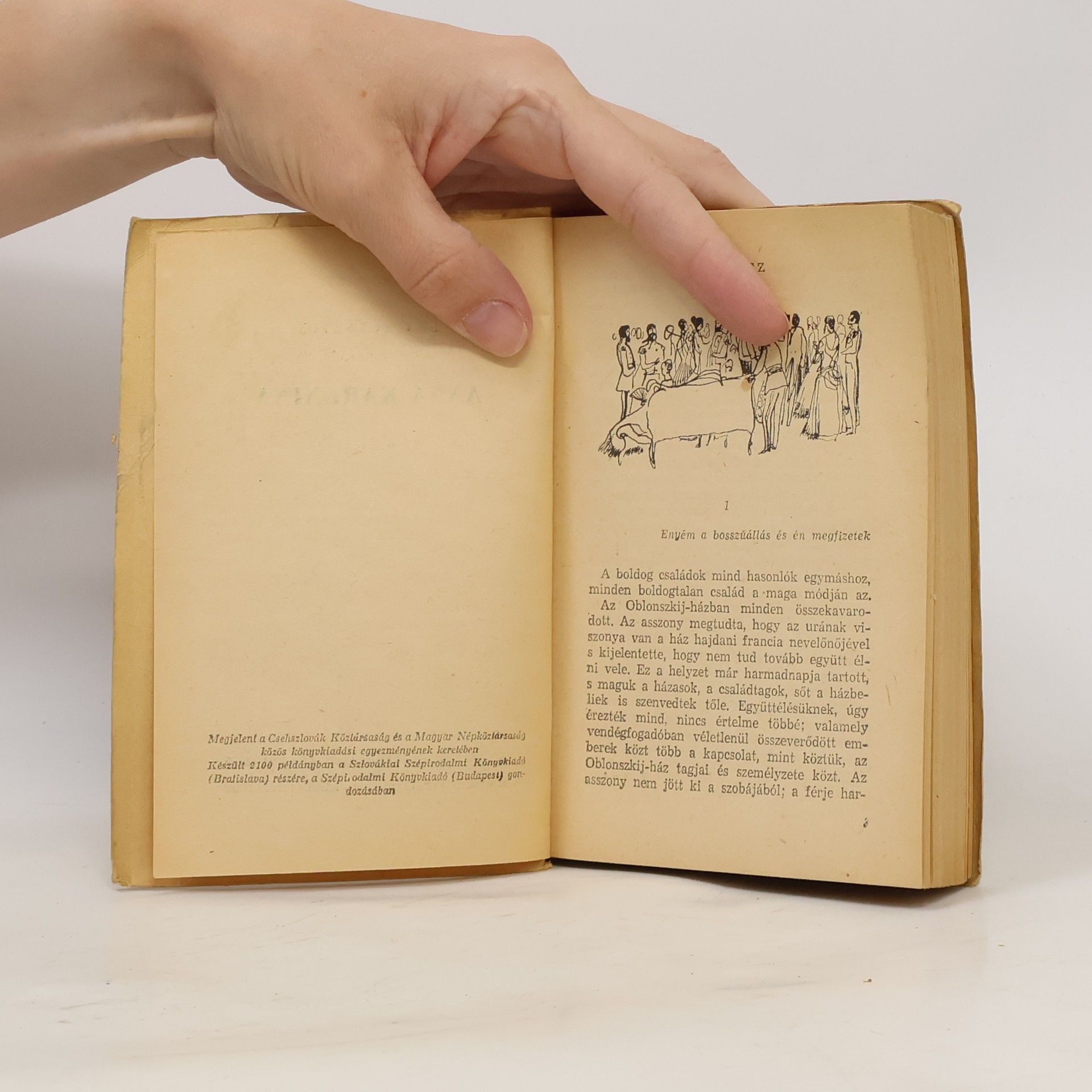 Lew Nikolajewitsch Tolstoi Anna Karenina I.